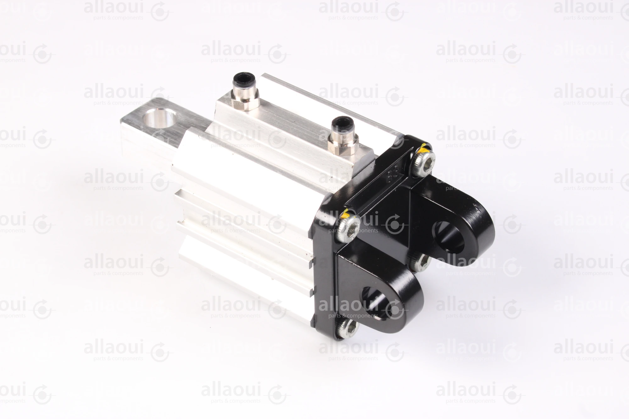 Elettra S.r.l Pneumatic Cylinder 1026653-00