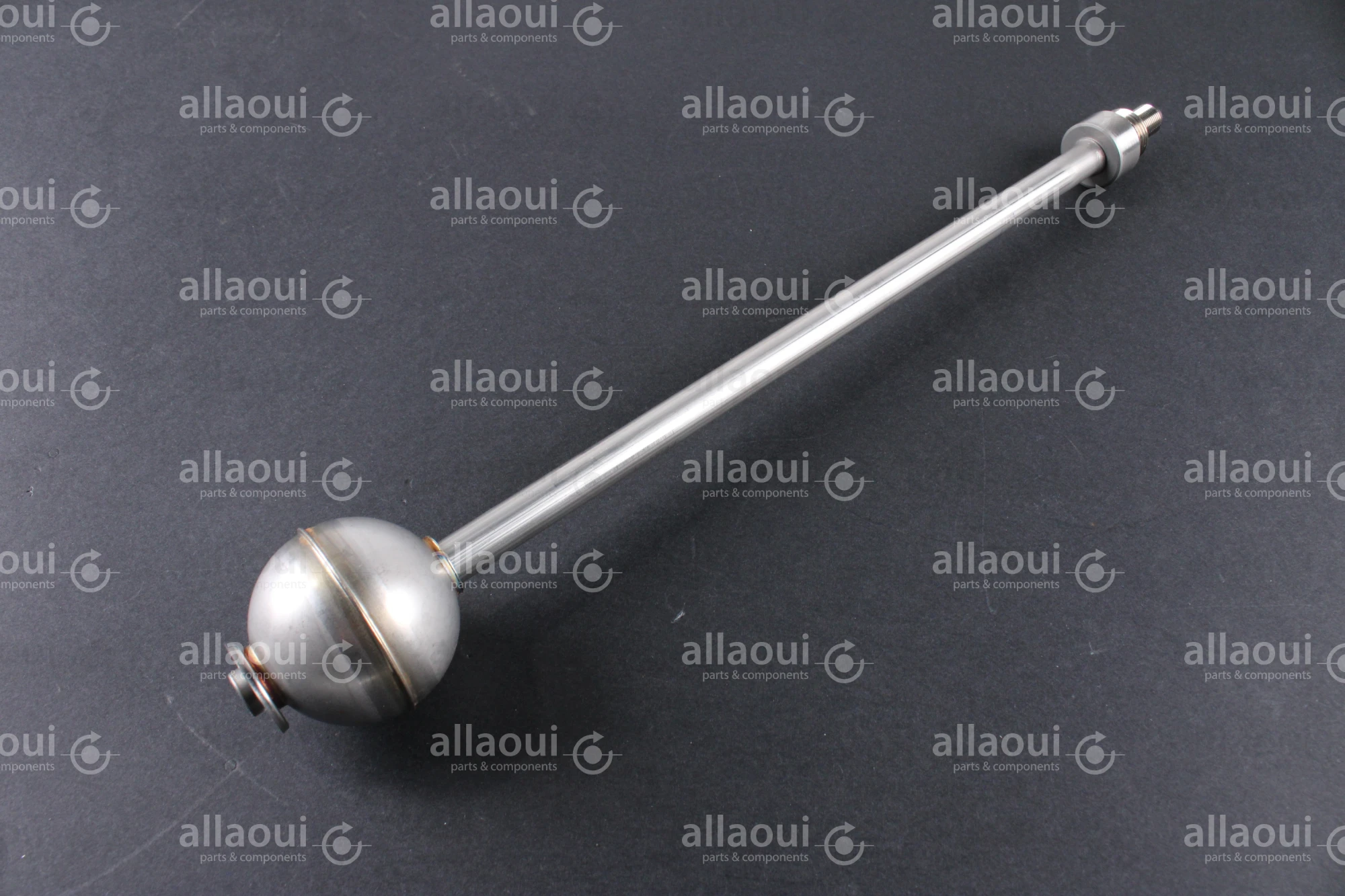 Technotrans Float Switch 065155063