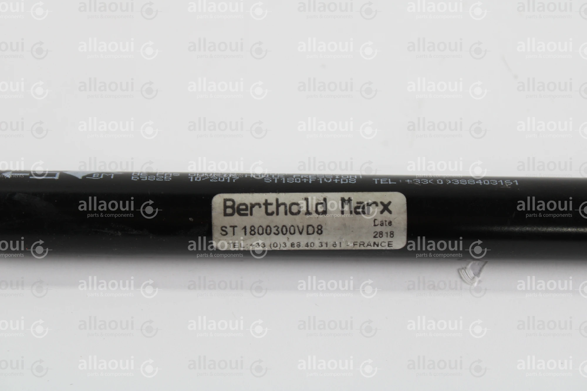Berthold Marx Gas Spring ST-1800300VD8