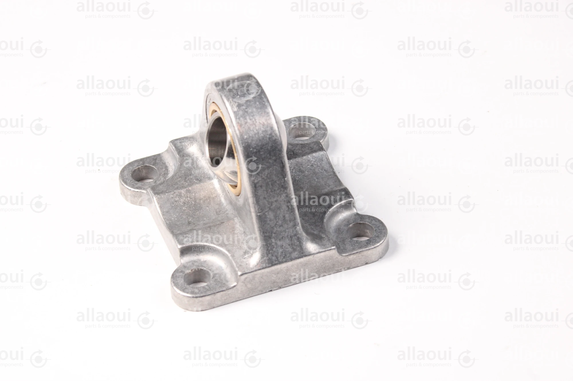 Festo Swivel Flange SNCS-63