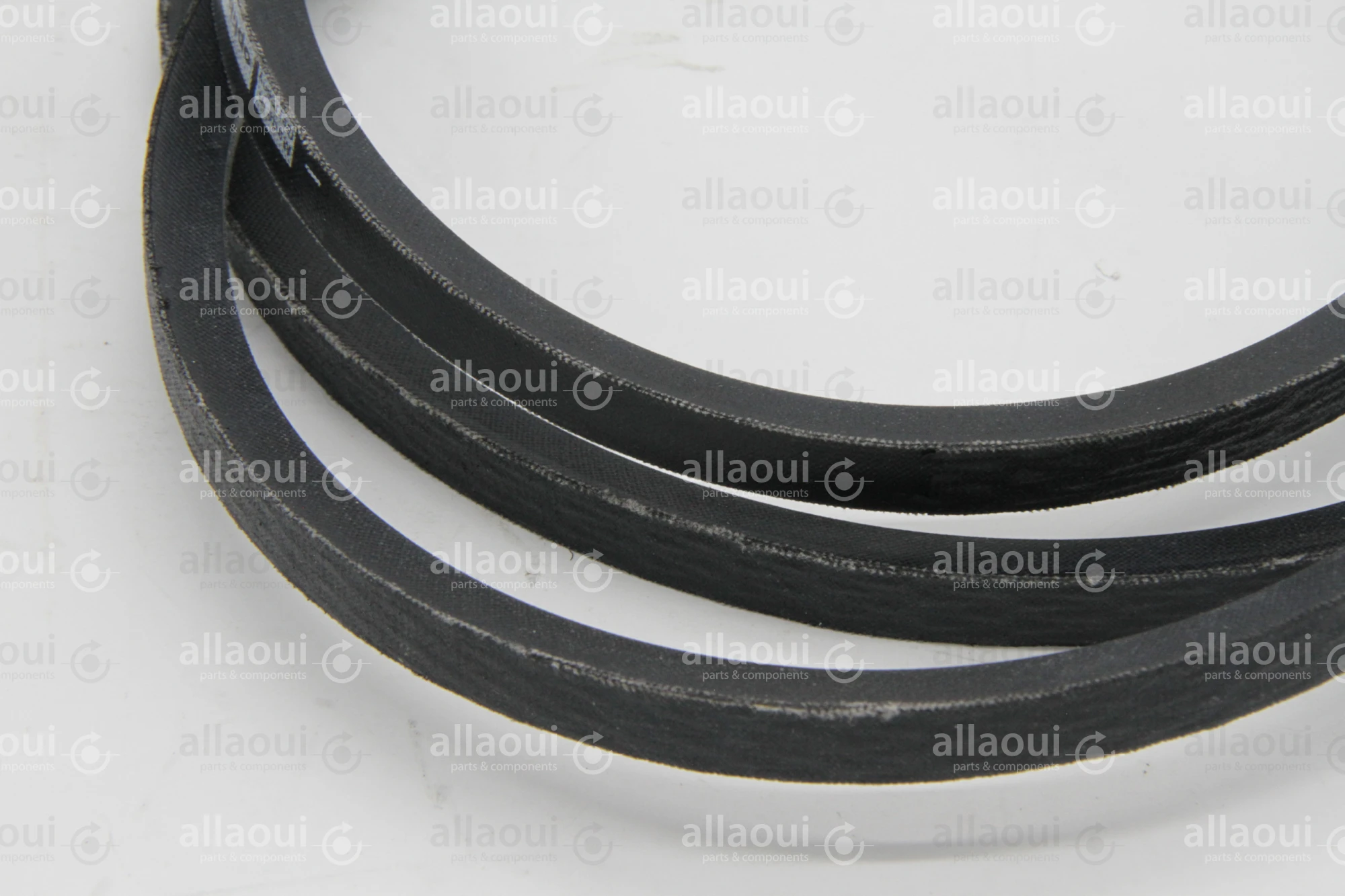 Heidelberg Narrov V-Belt SPZ 1637-LW ZD.200-594-84-00