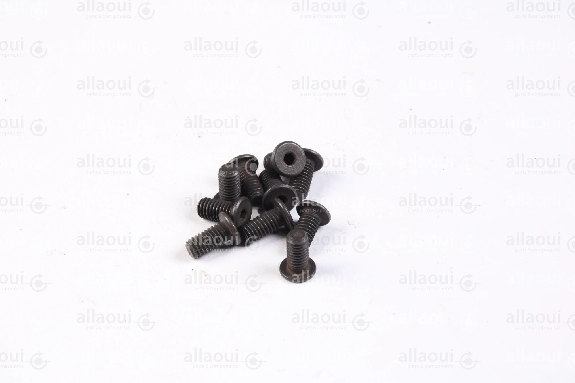 Ferag Cylinder Head Screw (10 Pieces) 1913.406.122