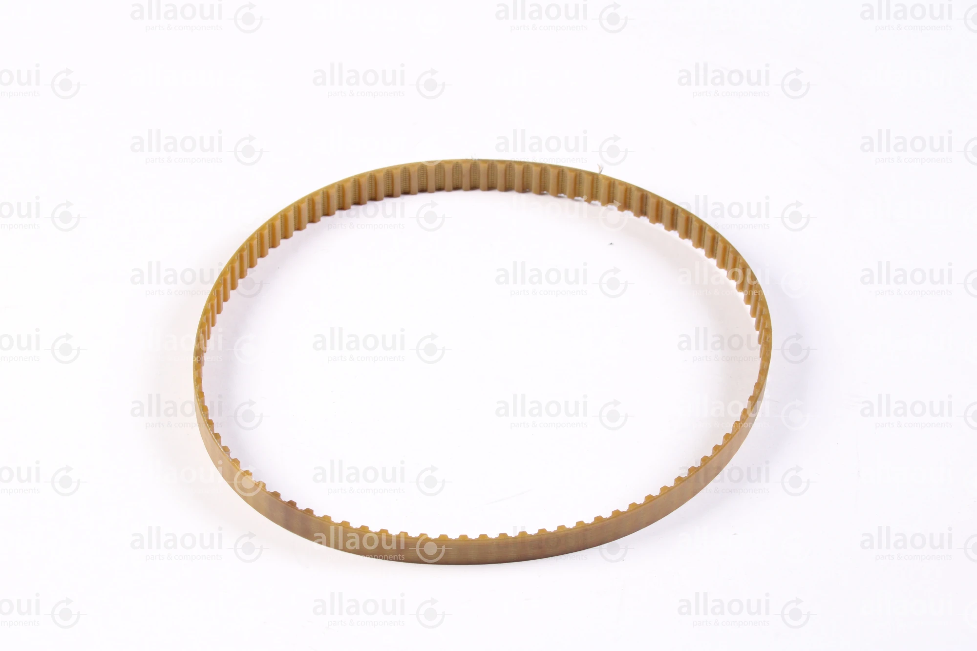 Megadyne Timing Belt T5-455-10