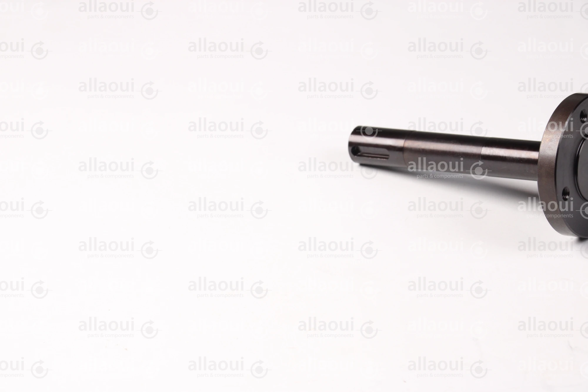 Müller Martini Shaft RD60X119.2 7526.1029.4