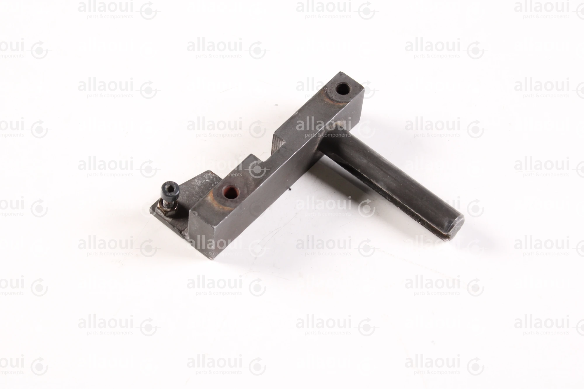 Heidelberg Guide FJ.4150421