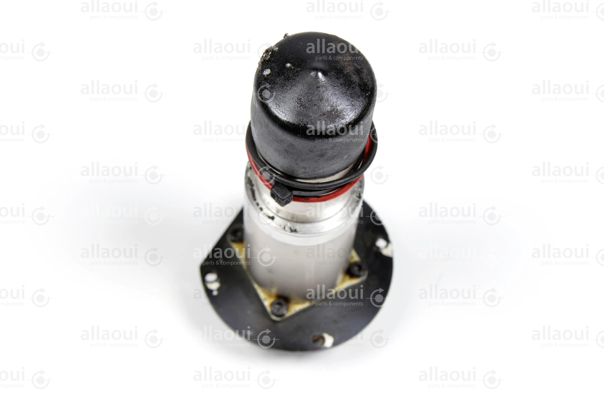 Escasp DC Motor P42 16 3 519