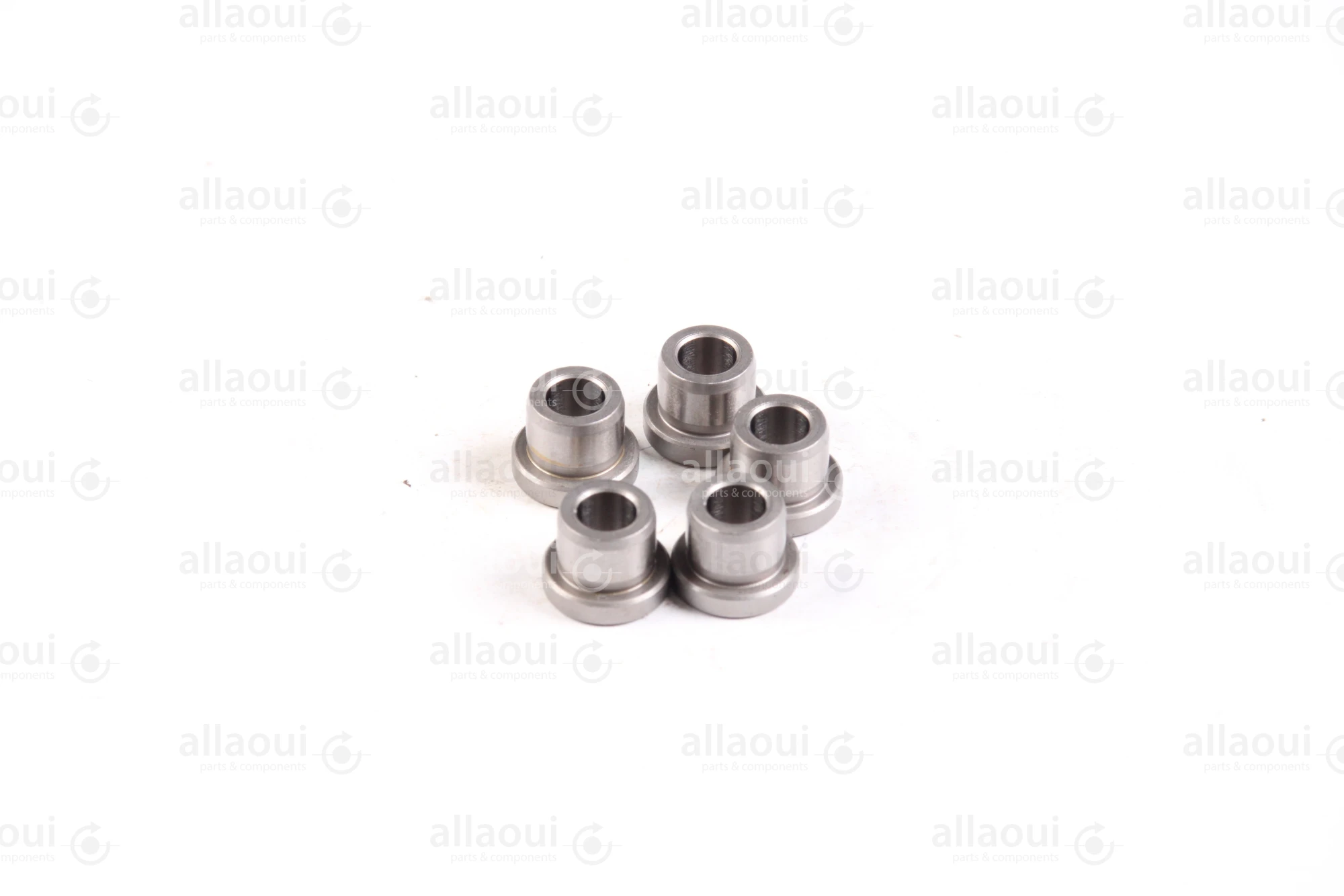 Ludwig Meister DIN 172 Guide Bushings(5 Pieces) 480-DIN172-B6-10-A