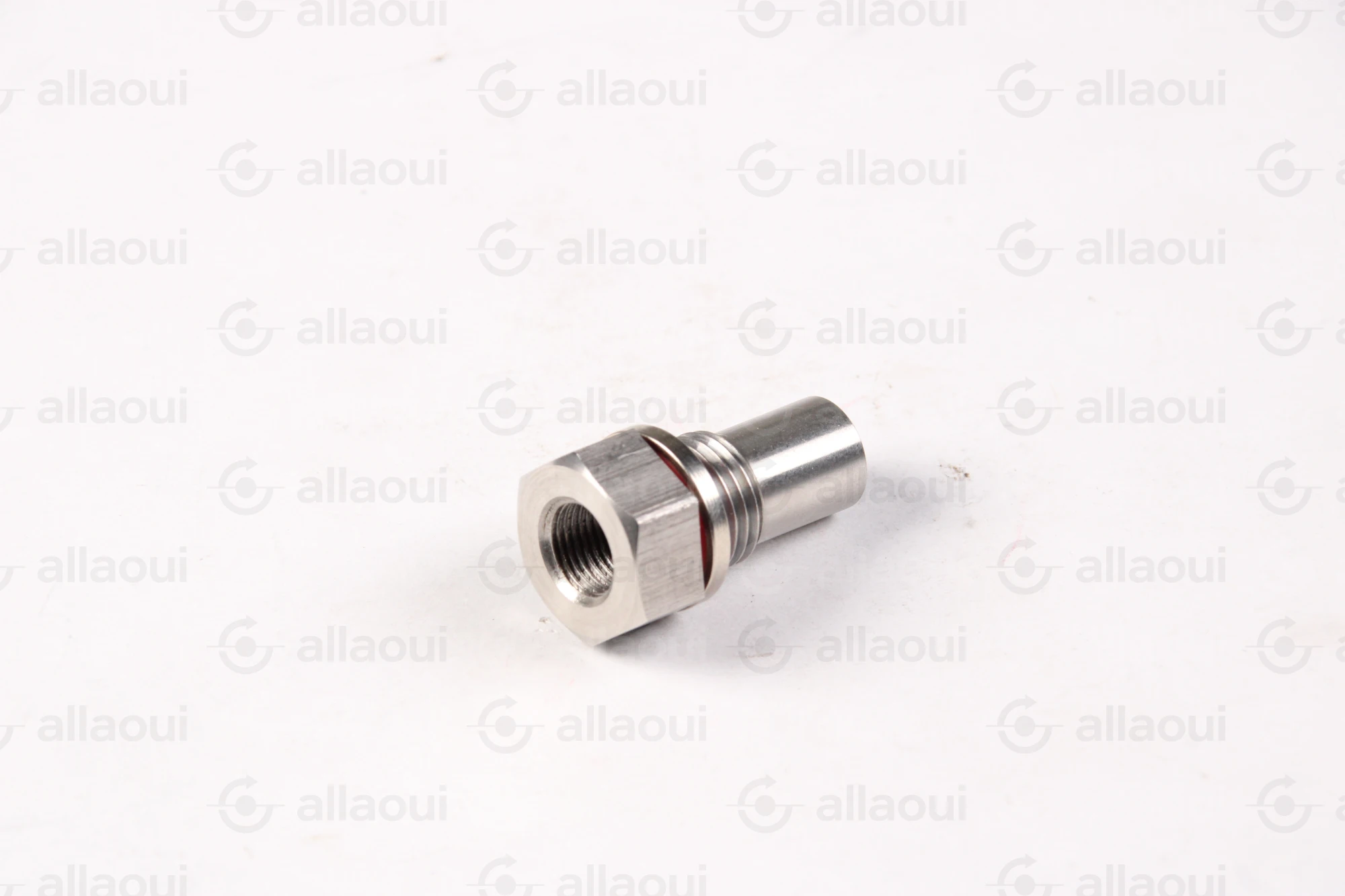 Planatol Check Valve 109027