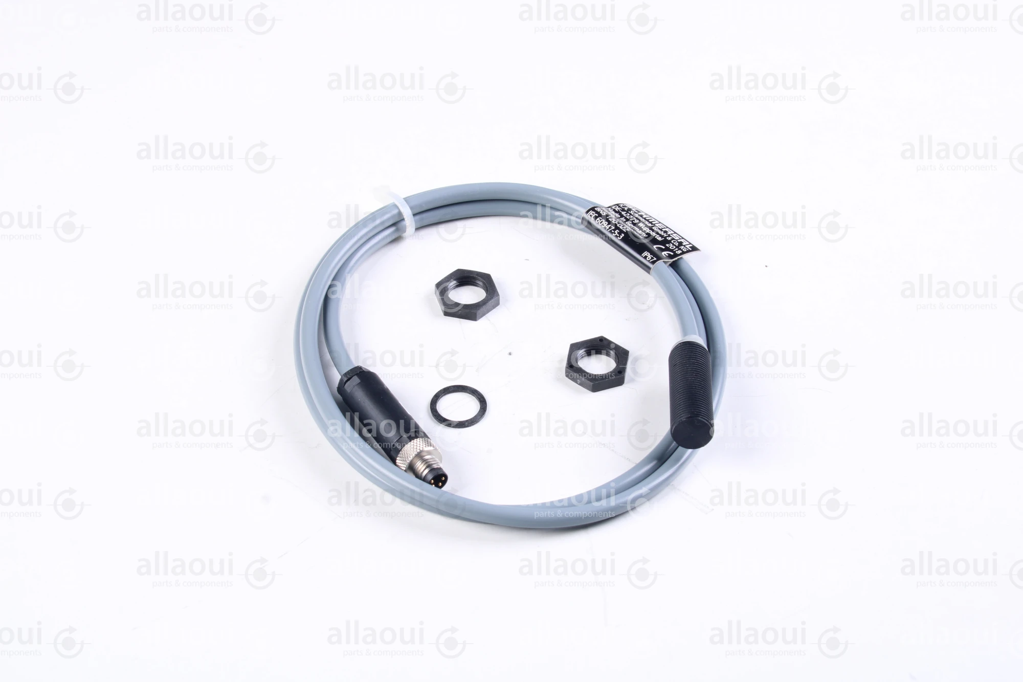 Schmersal Sensor BNS 120-02Z