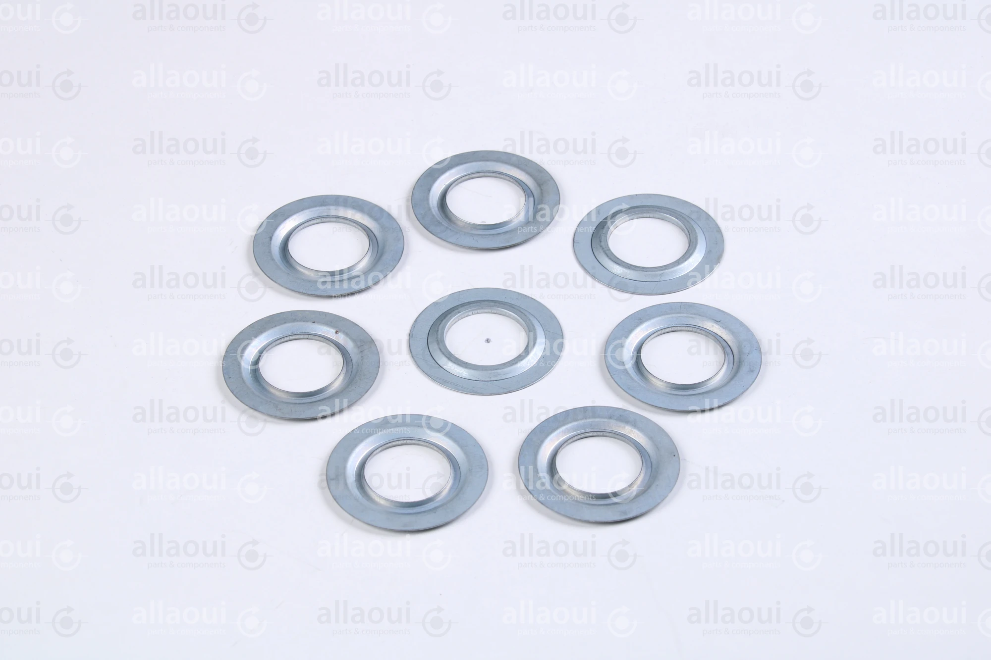 Müller Martini Sealing Ring 6202JV (8 Pieces) 0035.1767