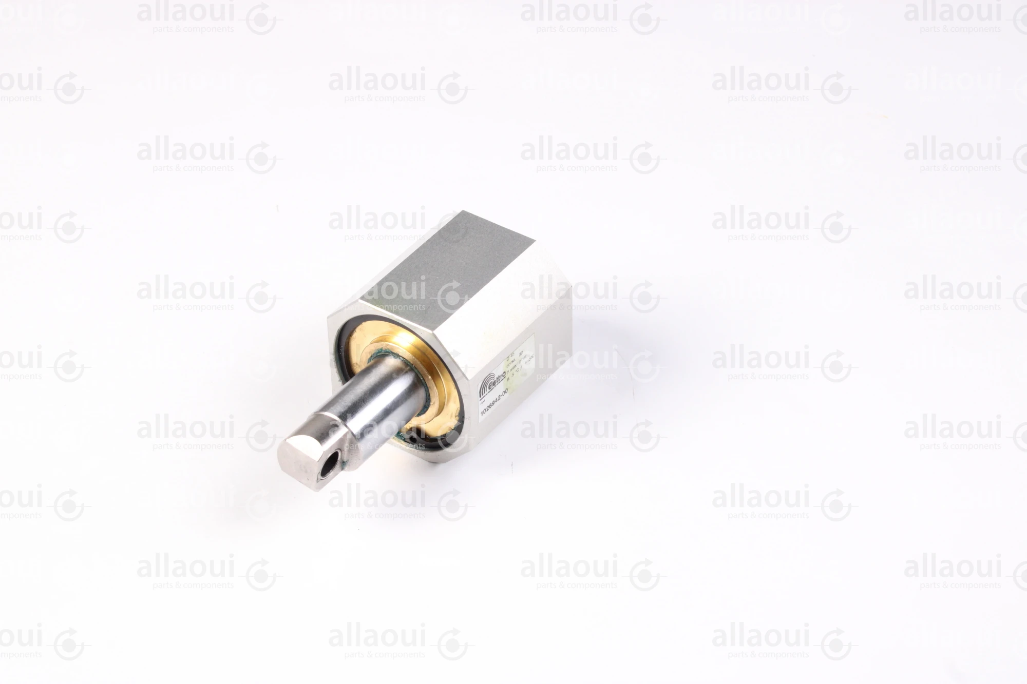 Elettra S.r.l Air Cylinder 1026943-00