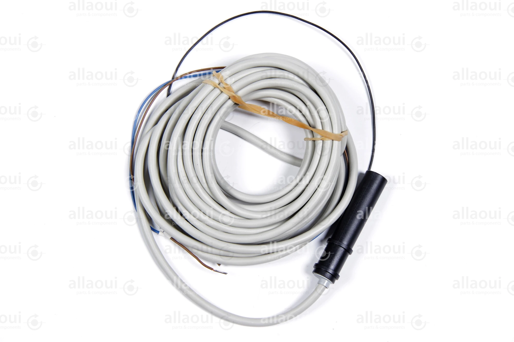 Heidelberg Capacitive Proximity Switch M2.198.1563/02A