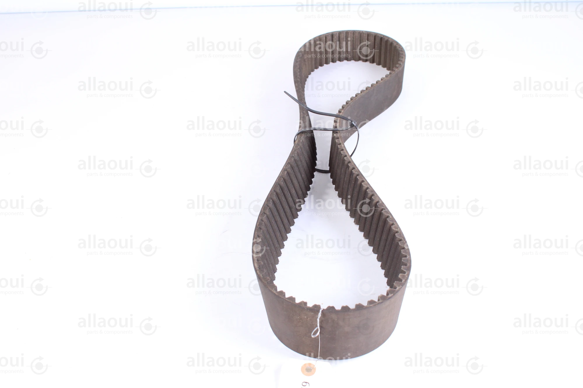 Dayco Timing Belt 1610-RPP14-55mm