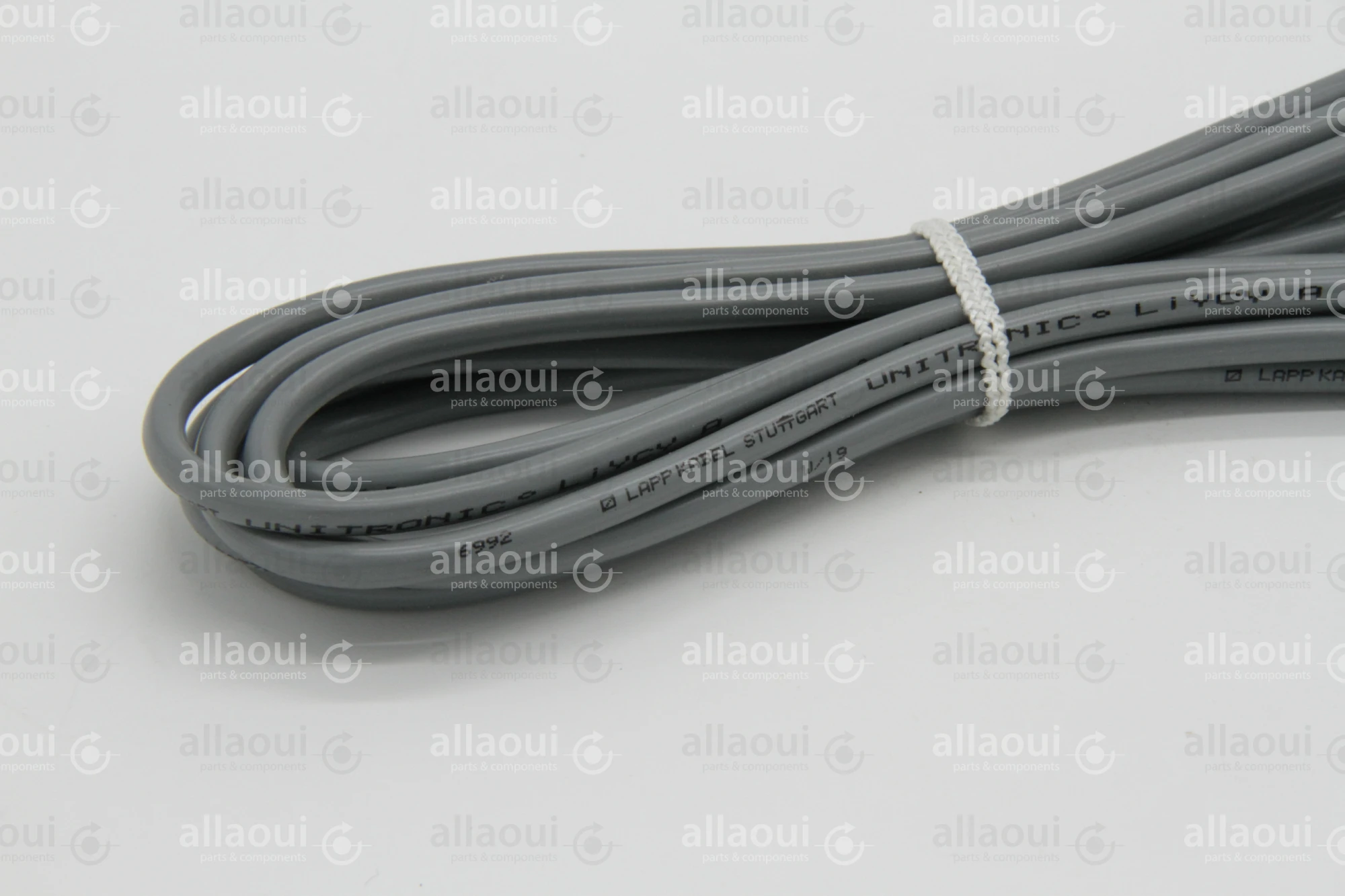 Heidelberg Temperature Sensor SA196173601