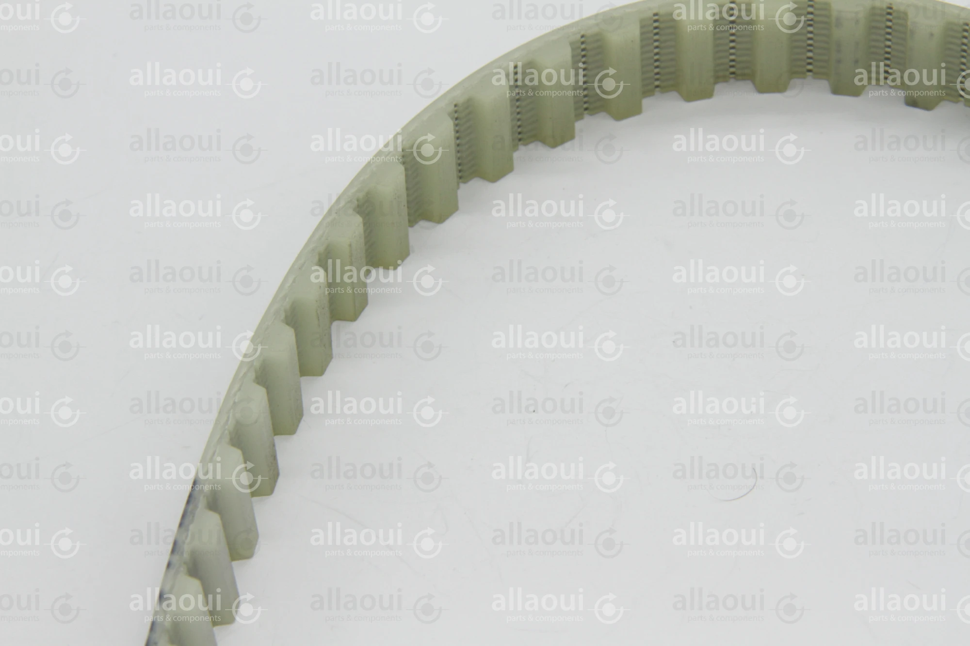 Müller Martini Toothed Belt 16T10/600 0039.3543