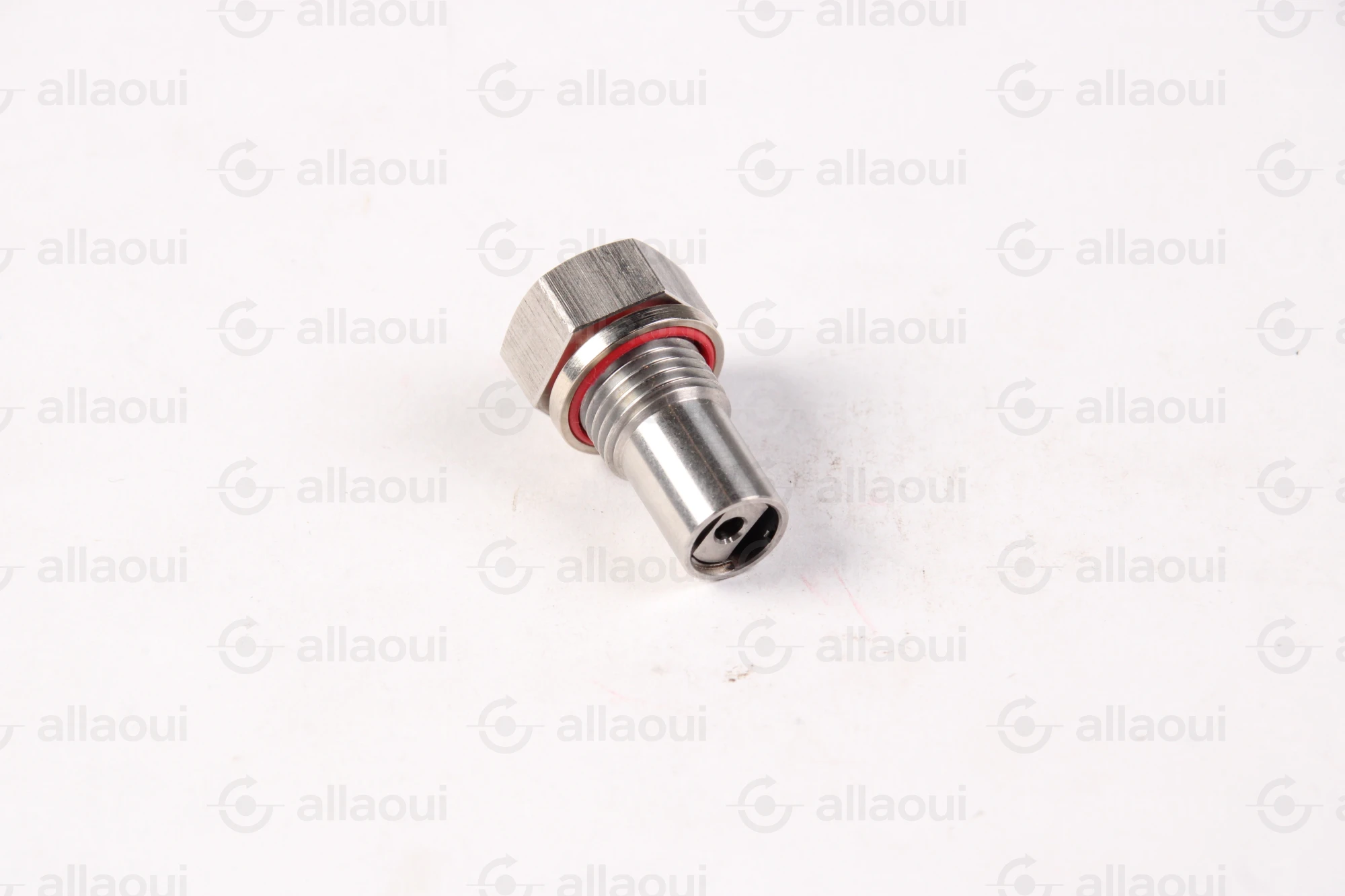 Planatol Check Valve 109027