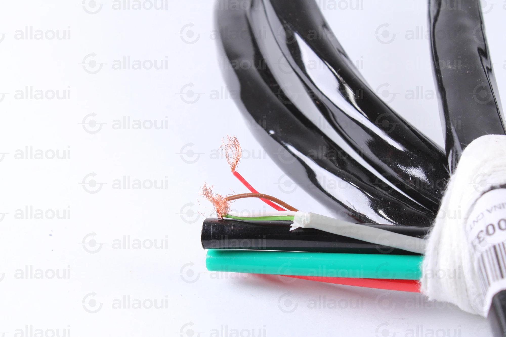 Elettra S.r.l. Connector socket with cable 2000319-01