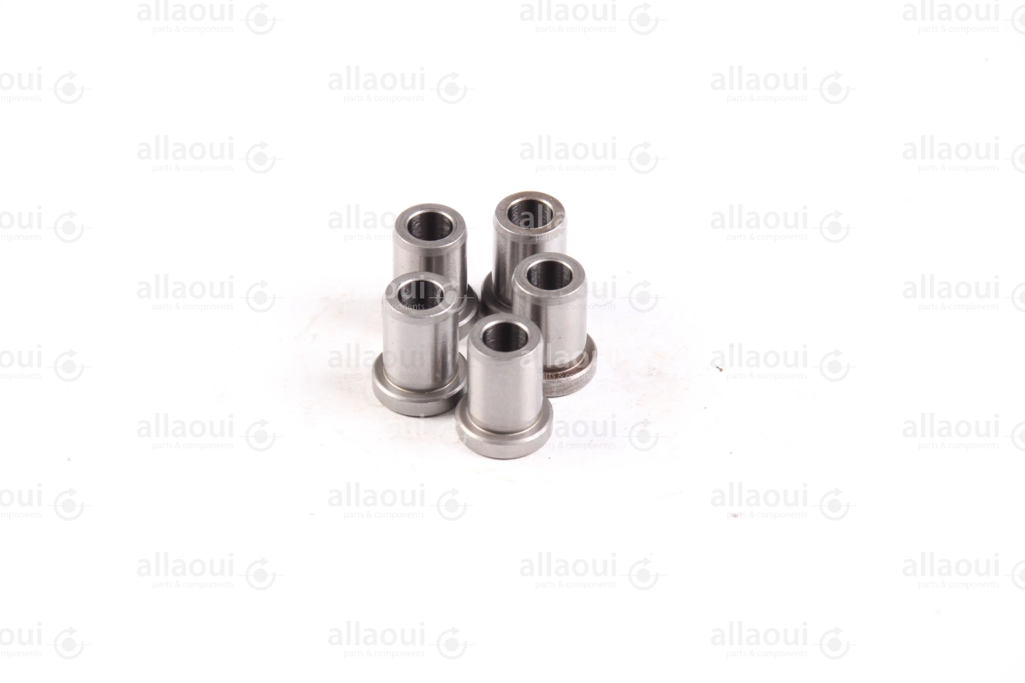Ludwig Meister DIN 172 Guide Bushings(5 Pieces) 480-DIN172-B6-16-A