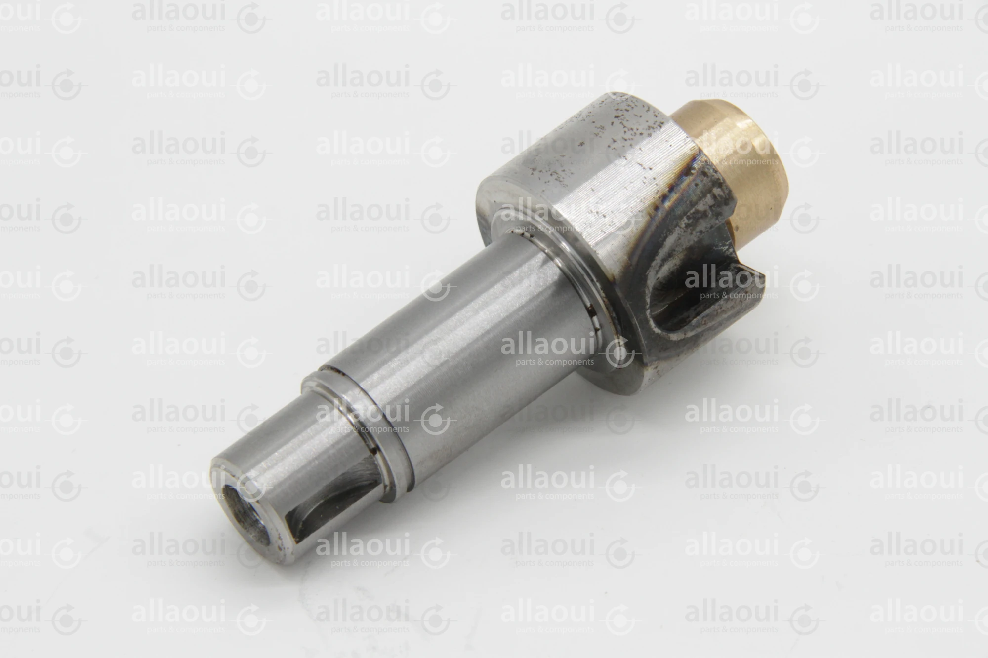 Heidelberg Journal with Bush ZD.234-007-BG-01