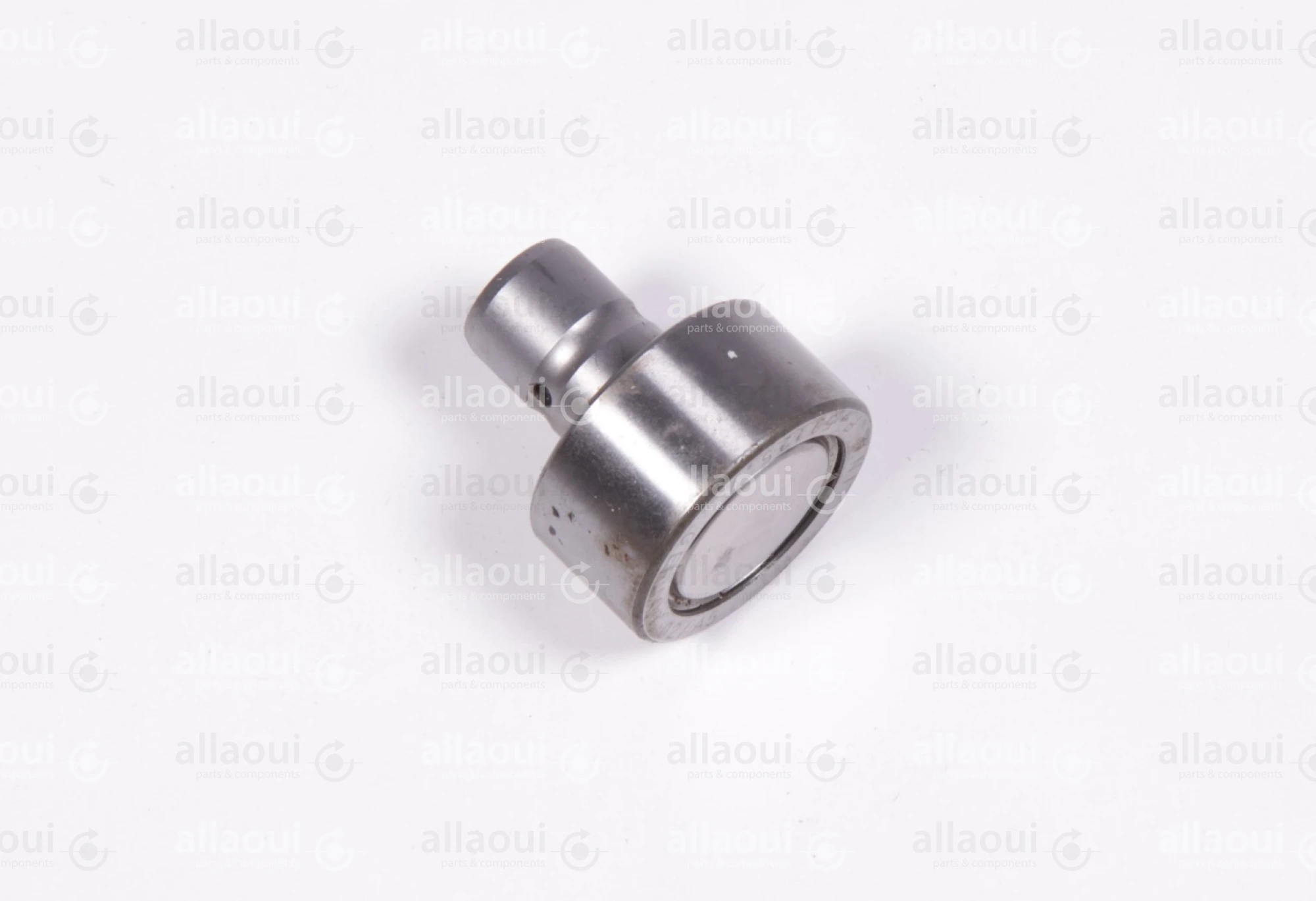 INA Cam Follower F-53125.2