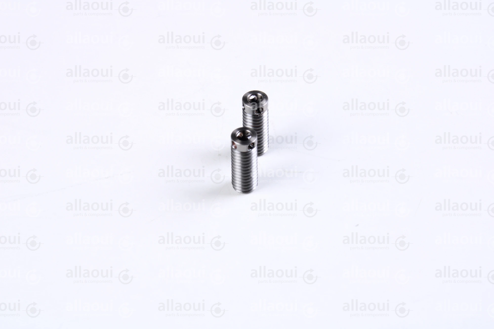 Müller Martini Screw (2 Pieces) 3675.2556.4 (2 Stück)