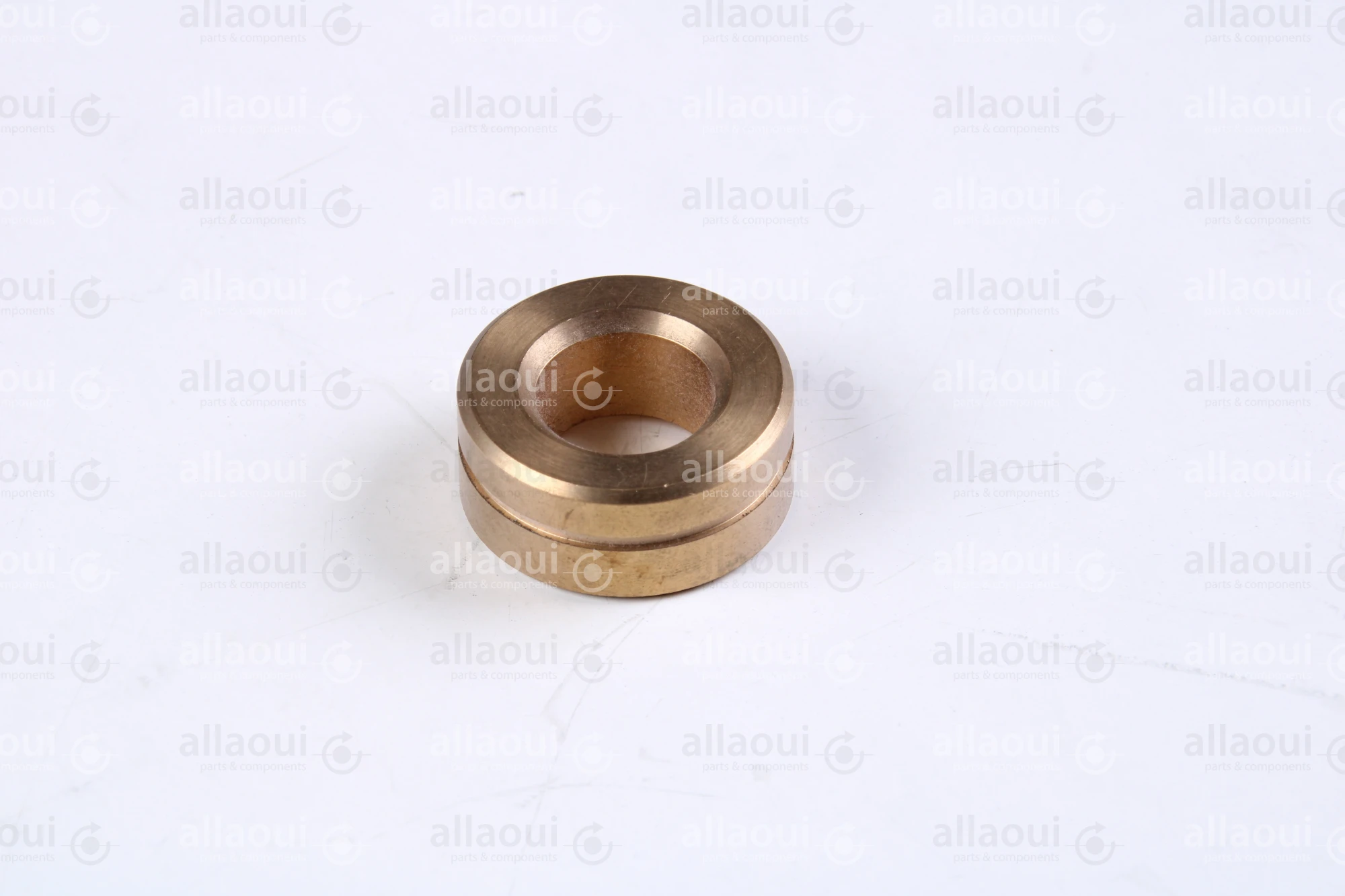 Polar Bearing bushing 448355