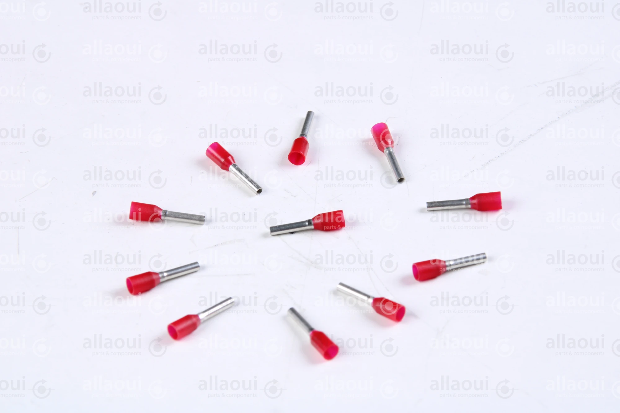 Koenig & Bauer (KBA) End-Fitting (11 Pieces) L0721812