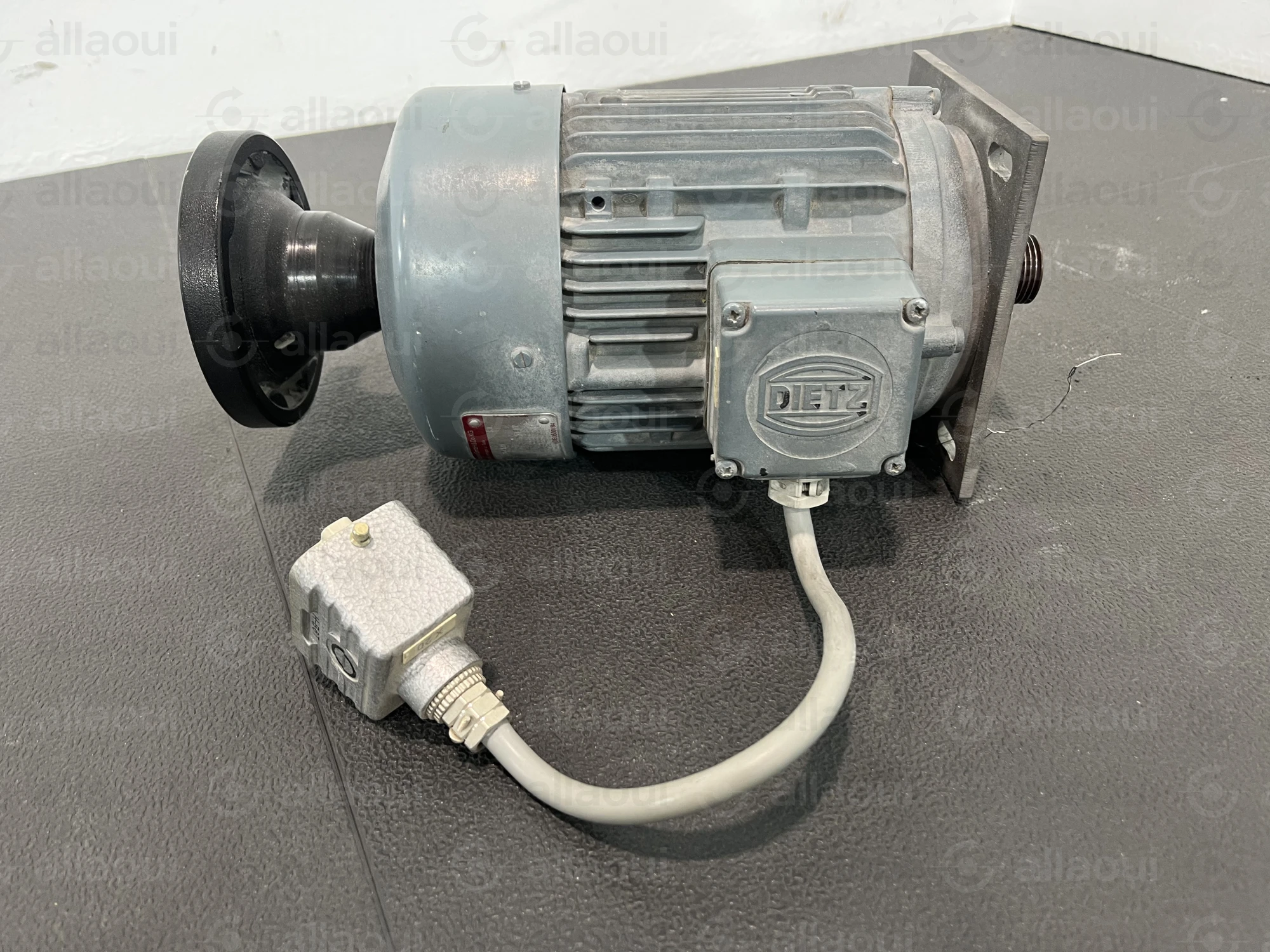 Dietz Sensortechnik Motor FWRB 80C/20