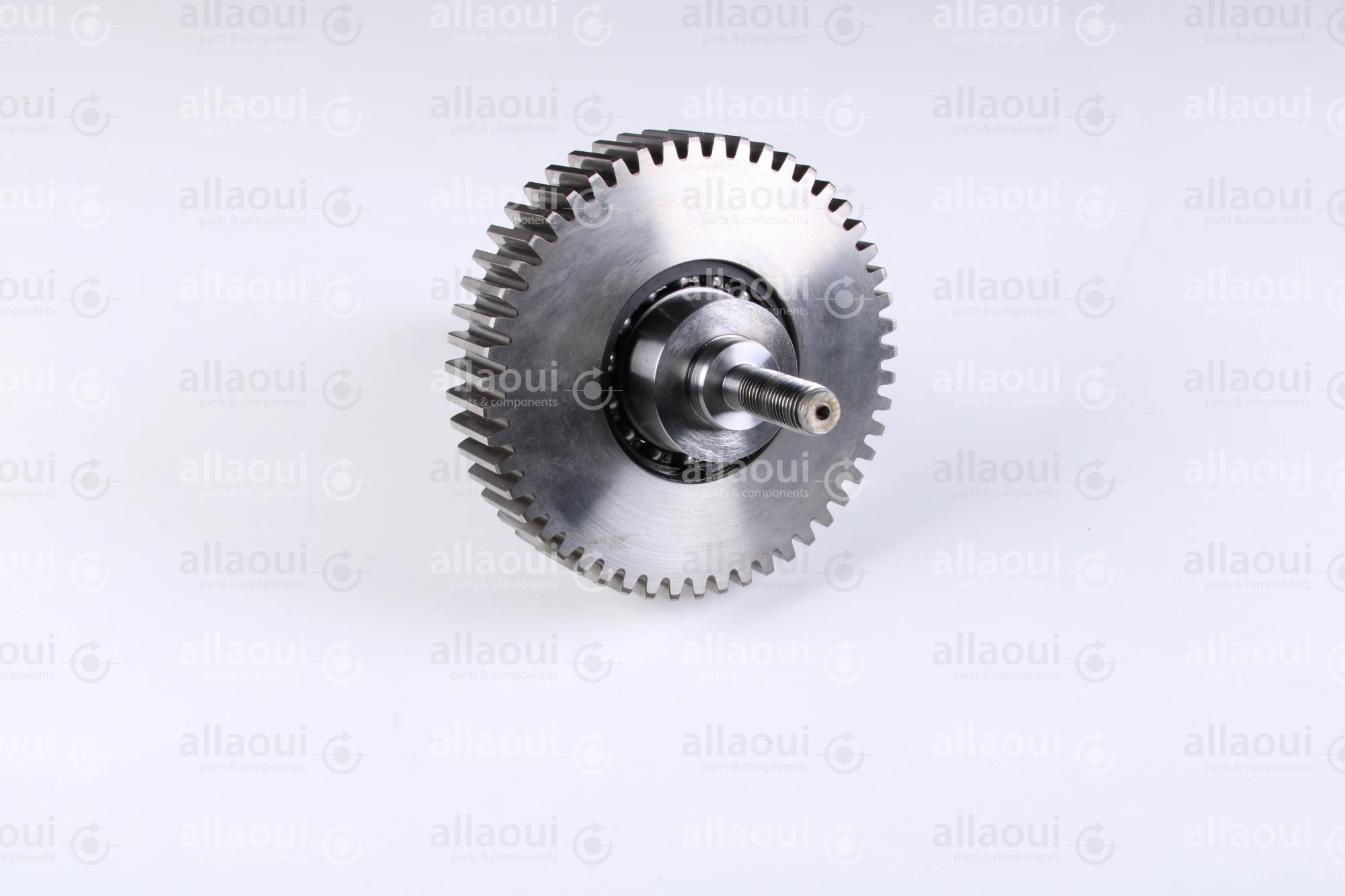 Heidelberg Journal 7G.010.513F/05