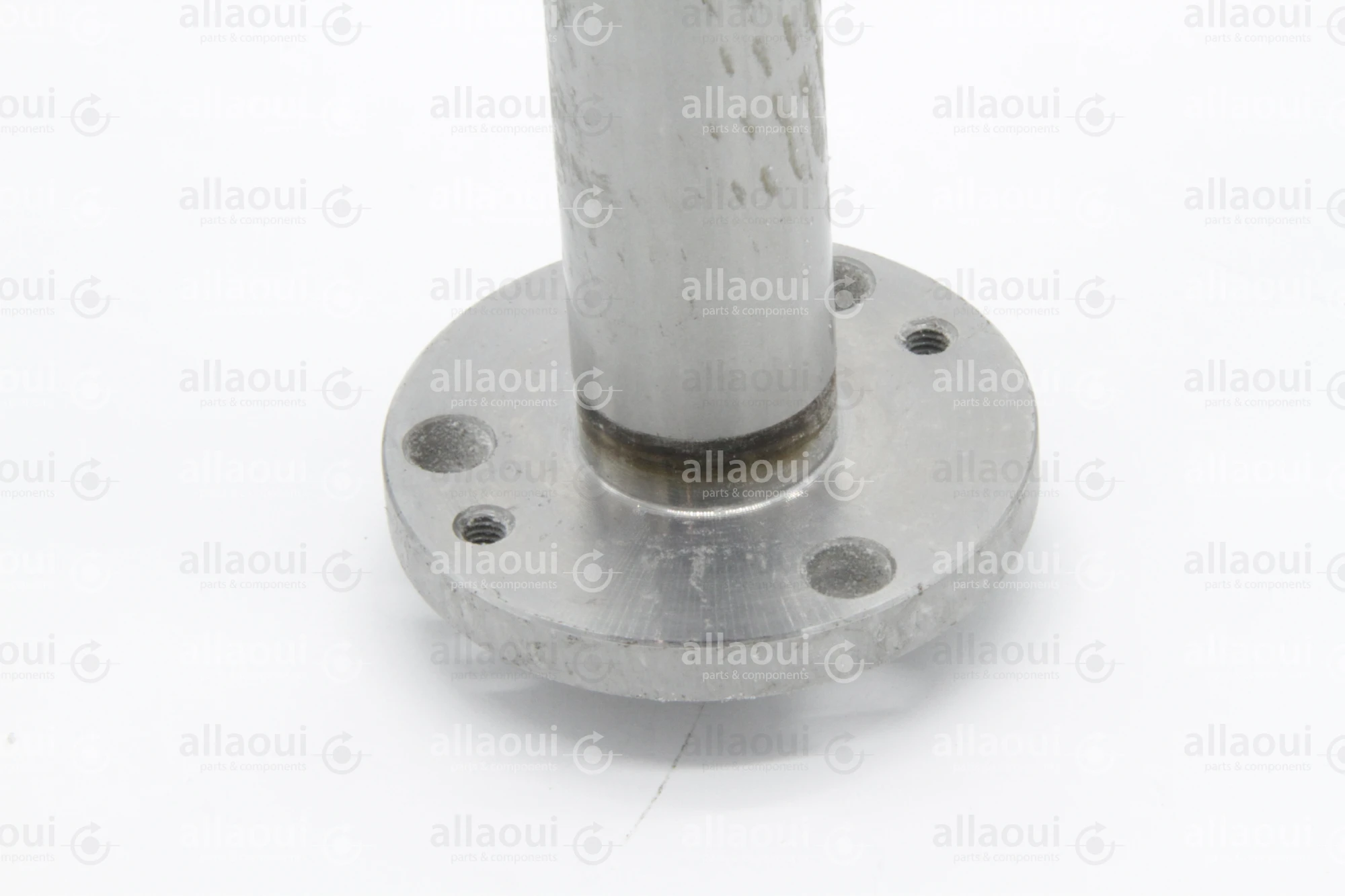 Heidelberg Journal DS F2.030.602 /05