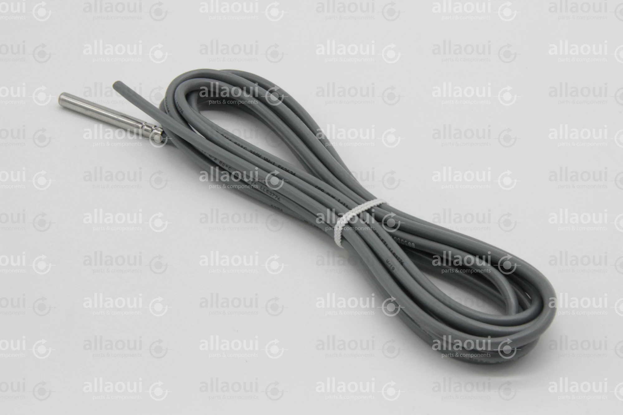 Heidelberg Temperature Sensor SA196173601