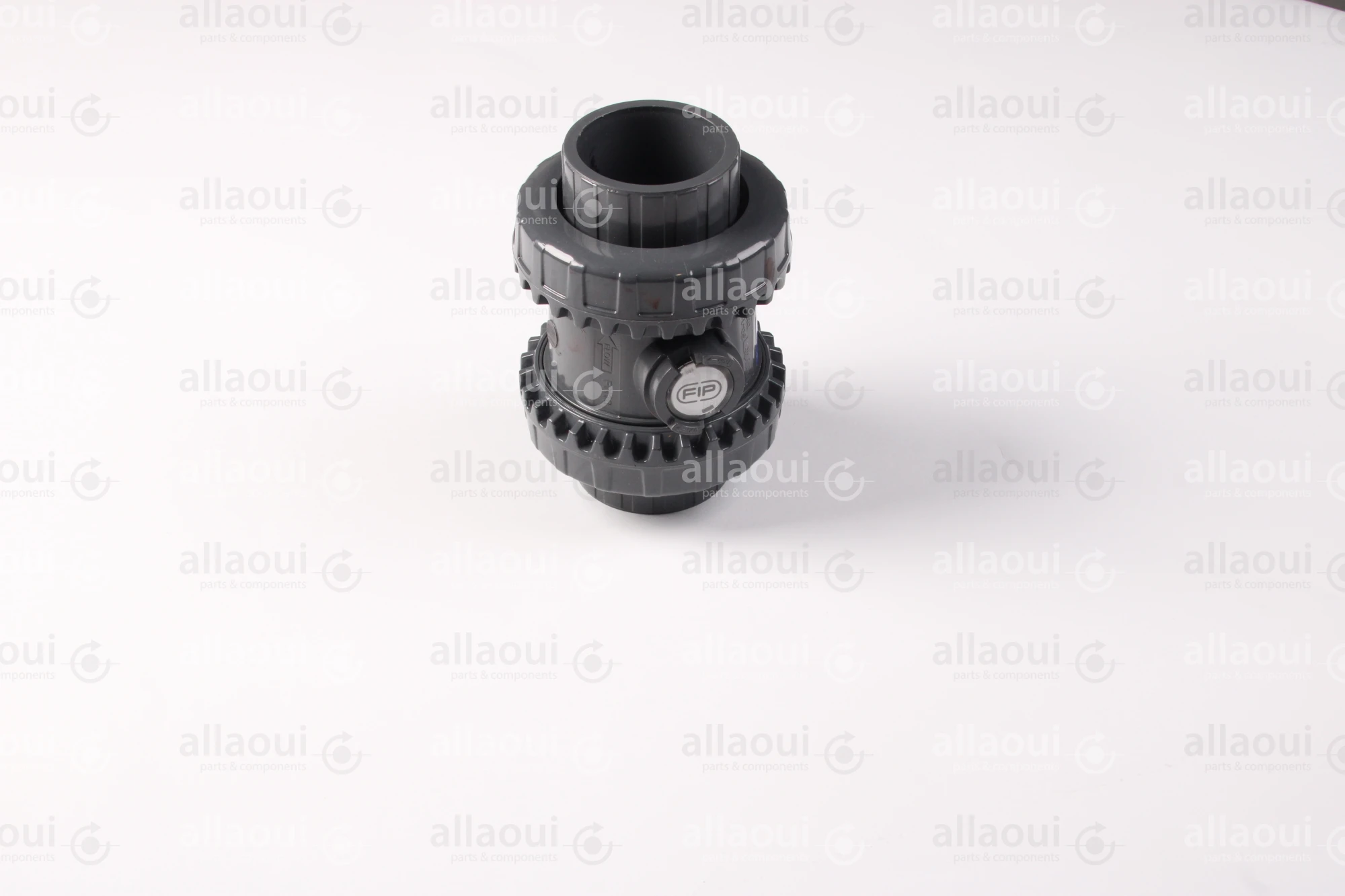 Technotrans Ball Check Valve 10044463