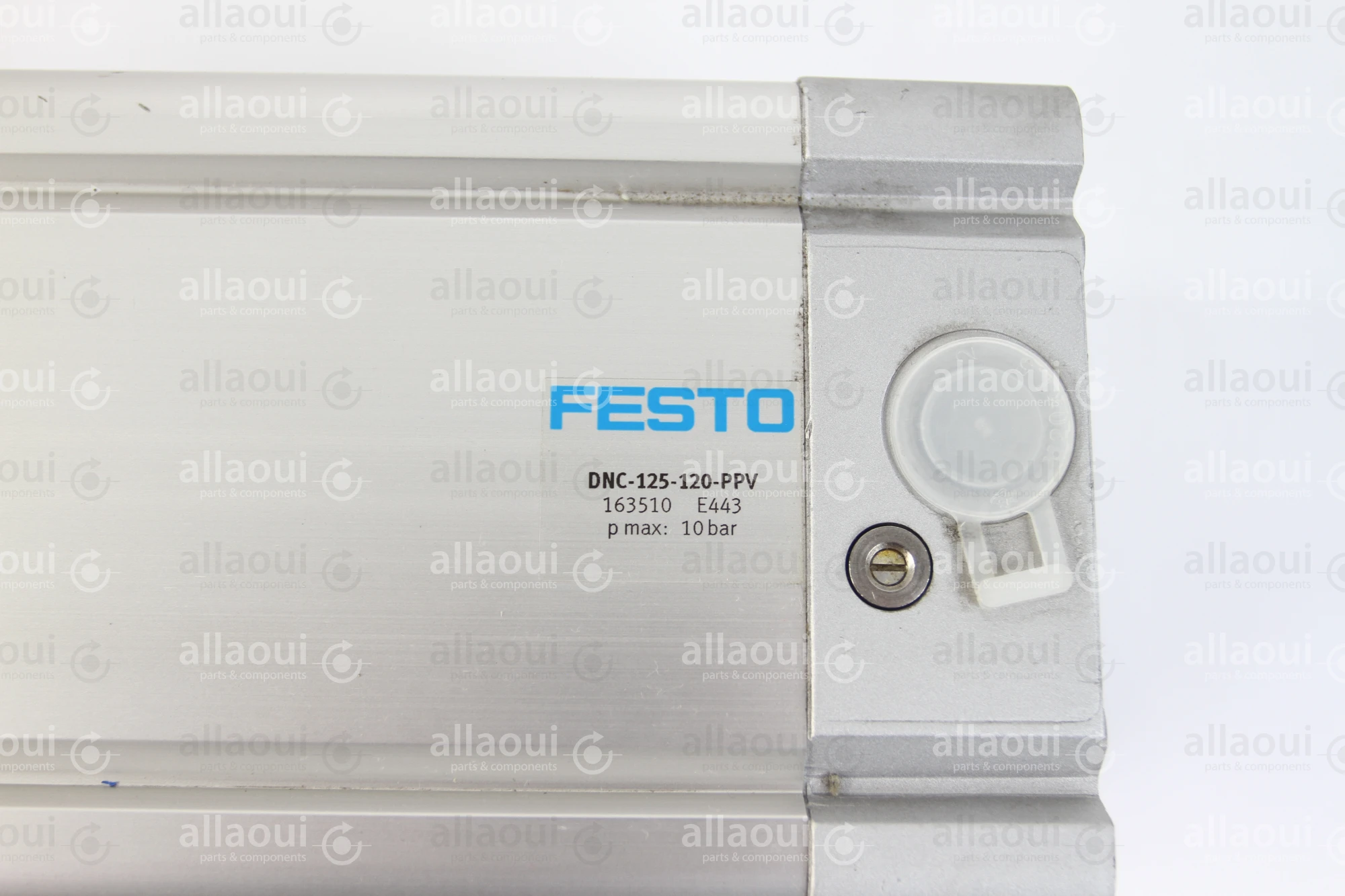 Festo Pneumatic Cylinder DNC-125-120-PPV