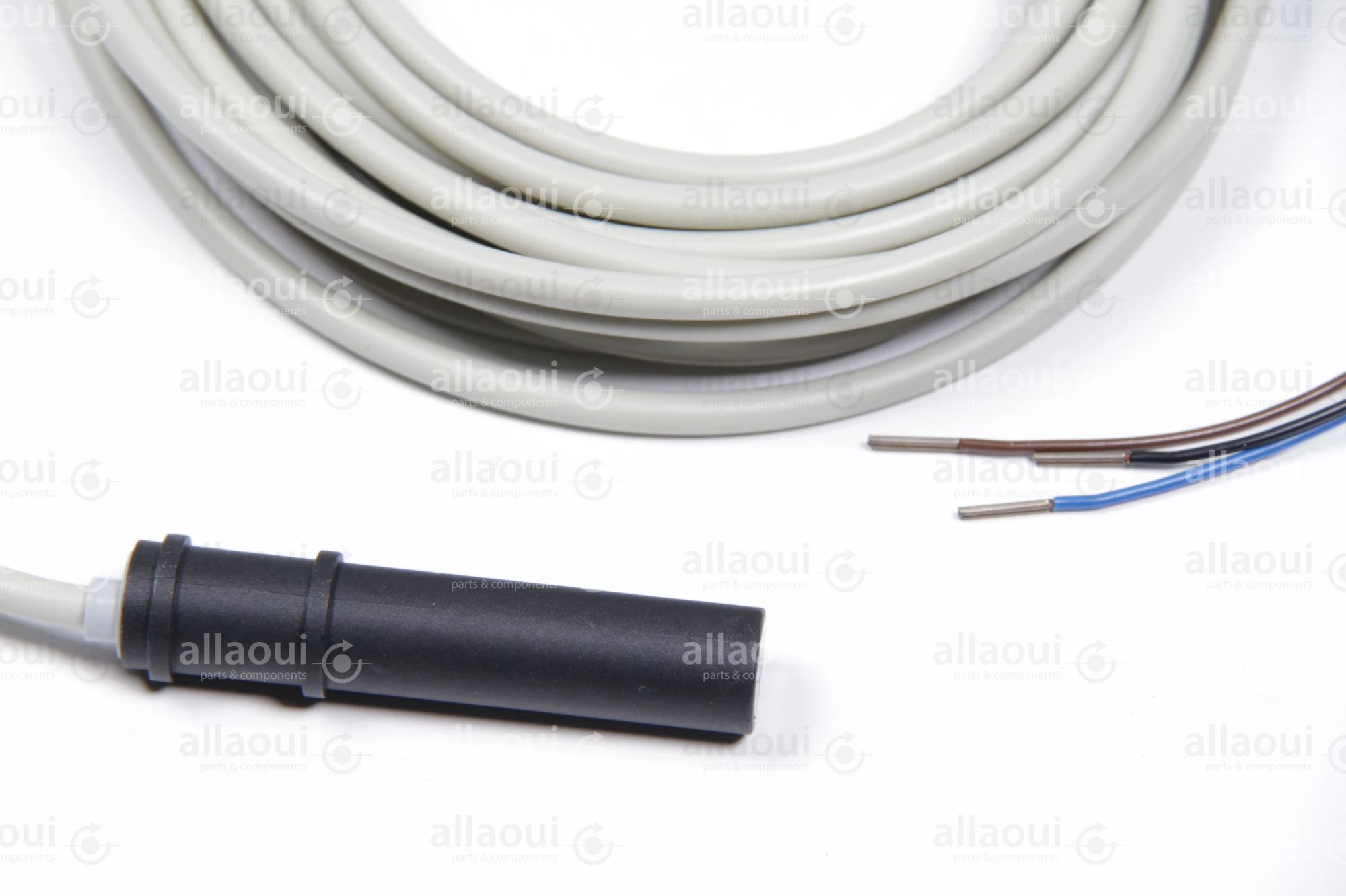 Heidelberg Capacitive Sensor M2.198.1563/05