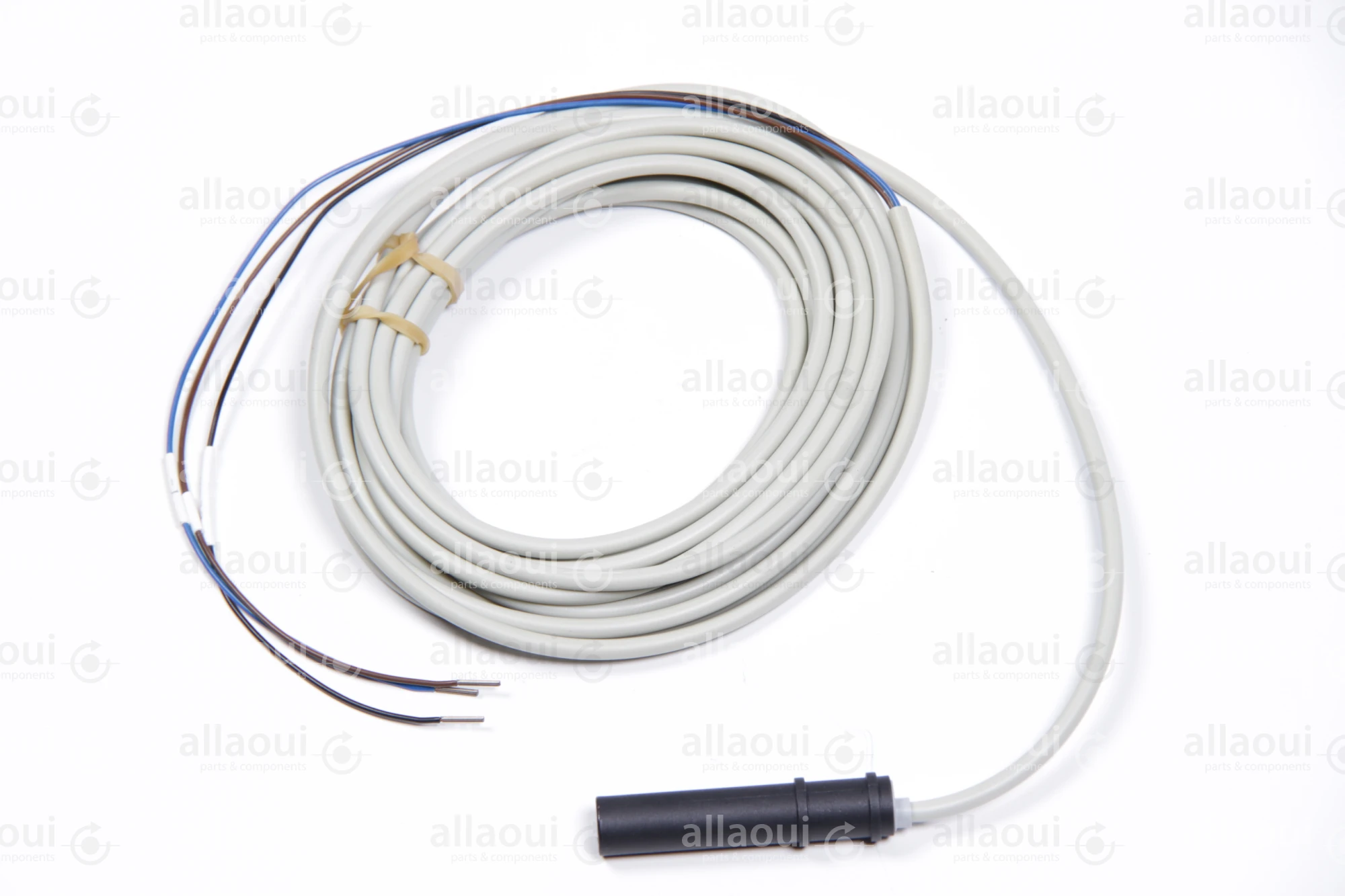 Heidelberg Capacitive Sensor M2.198.1563/05