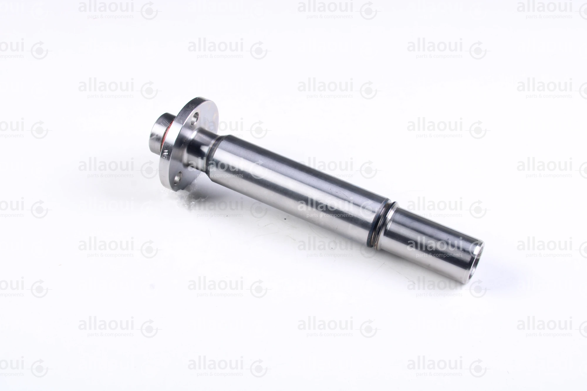 Heidelberg Journal F2.009.019