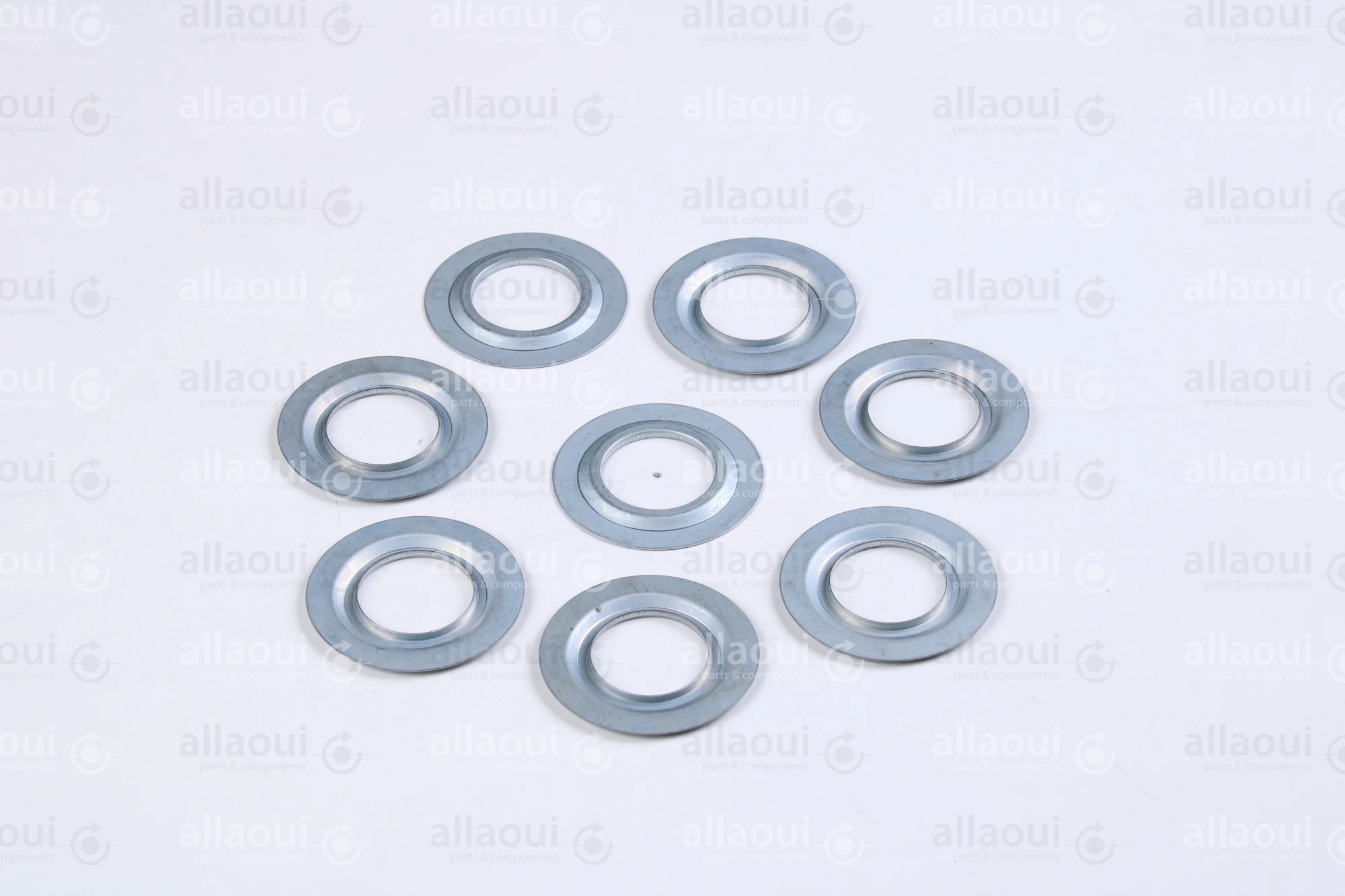 Müller Martini Sealing Ring 6202JV (8 Pieces) 0035.1767