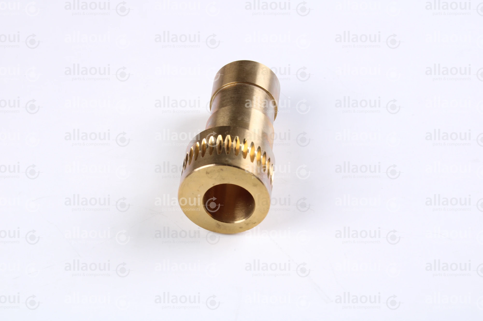 Manroland Worm Gear Dampening Unit 80.08F30-A077