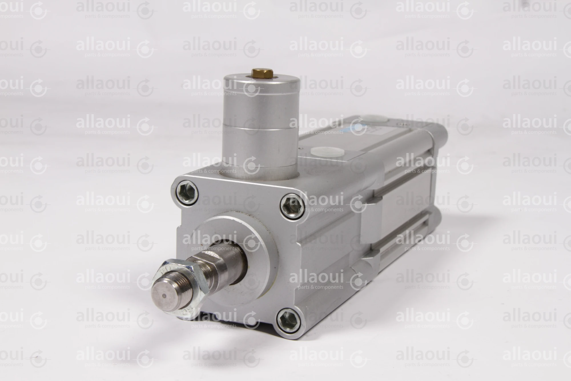 Festo Pneumatic Cylinder DNC-63-50-P-KP
