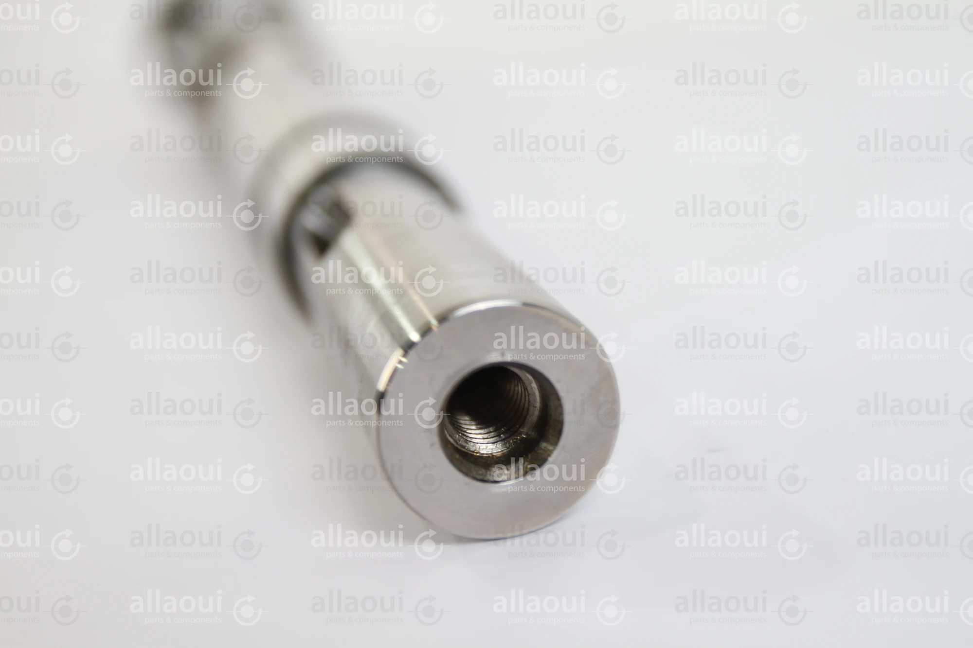 Heidelberg Journal F2.009.036