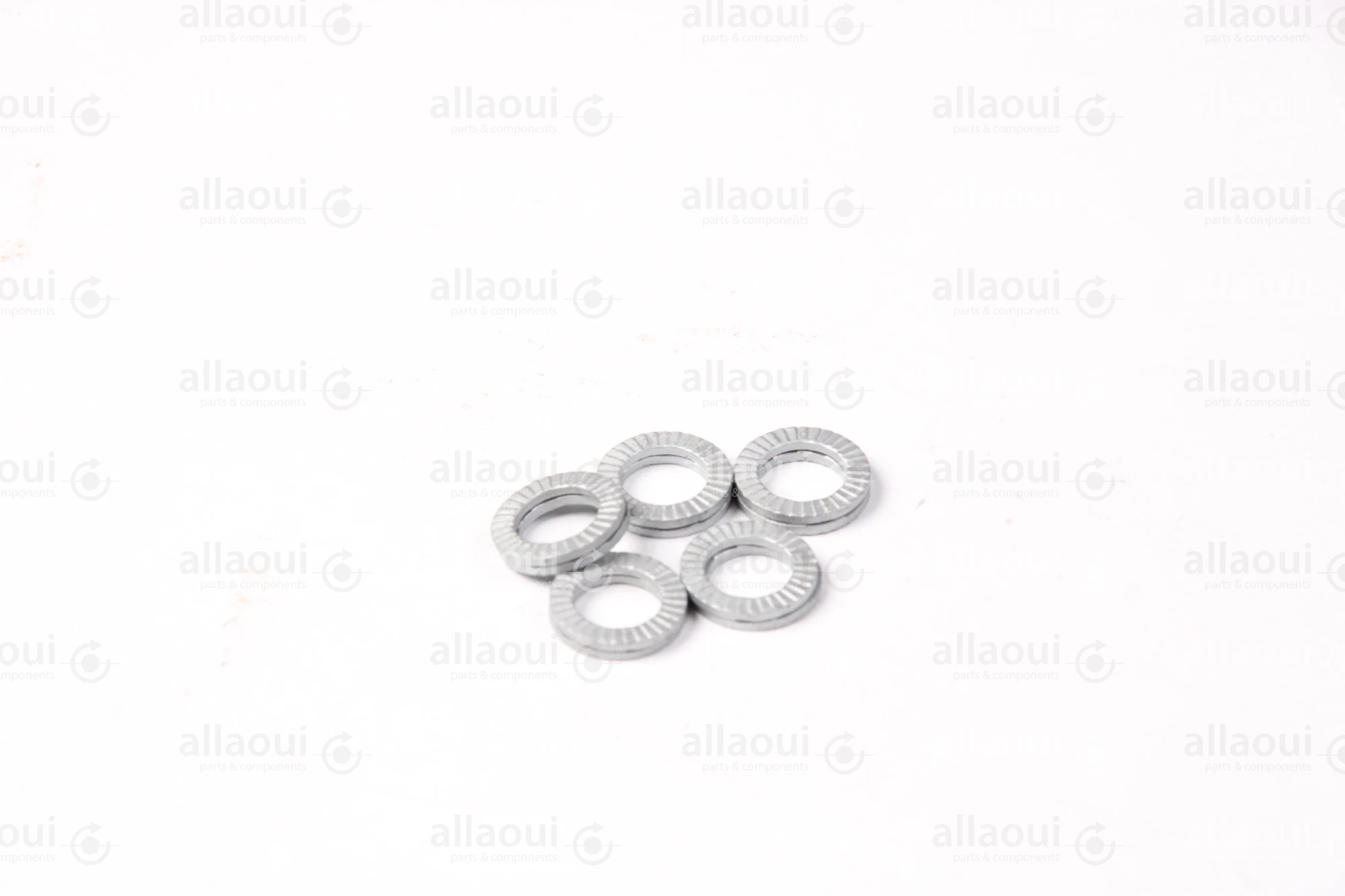 Manroland Pair Of Lock Washers (5 pieces) 06.16760-0126