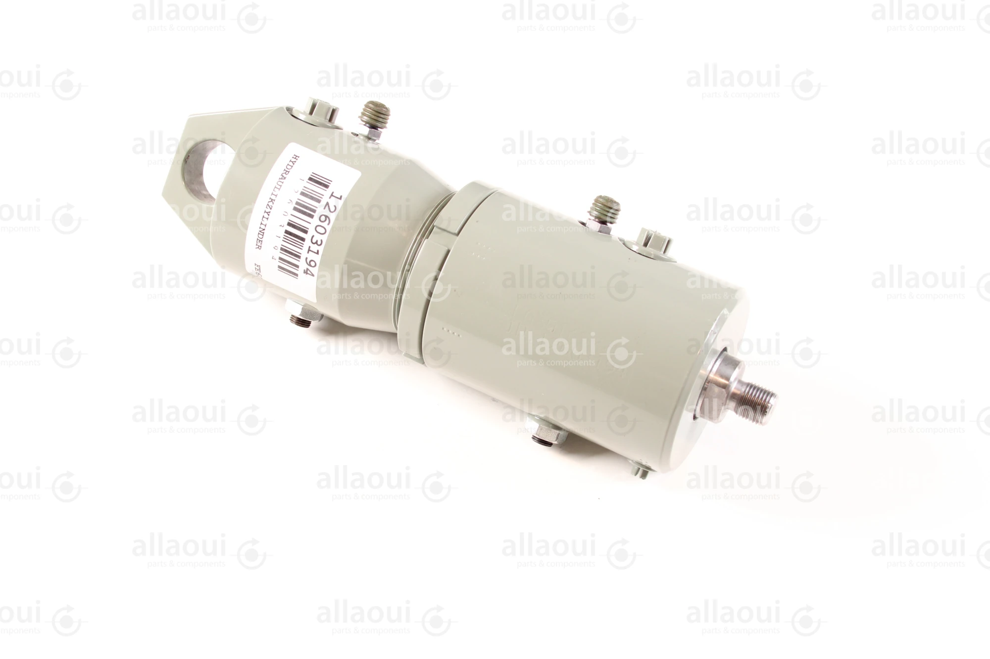 Kolbus Hydraulic cylinder 12603194