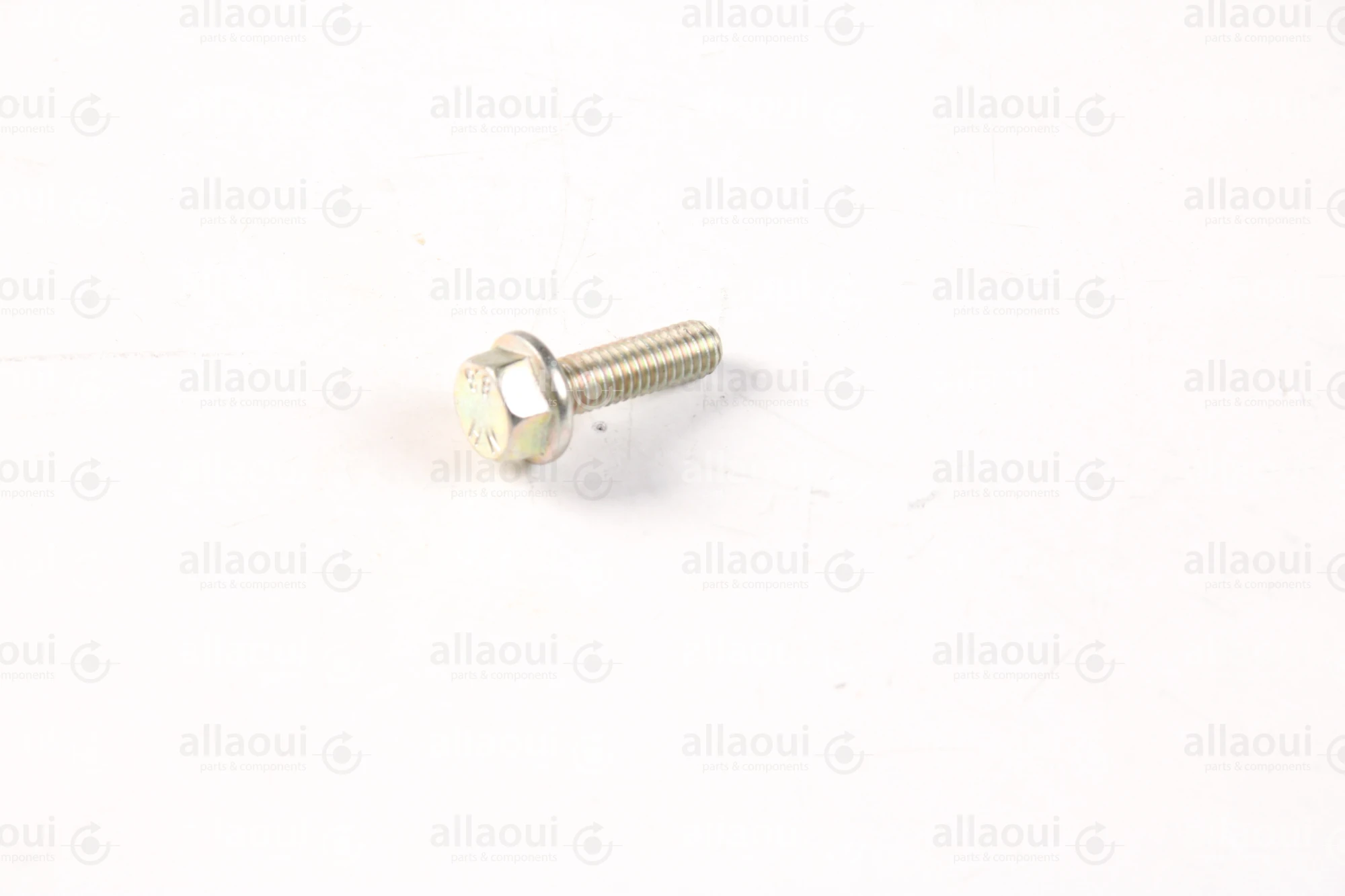 Müller Martini Screw M6X20 3002.5164.4