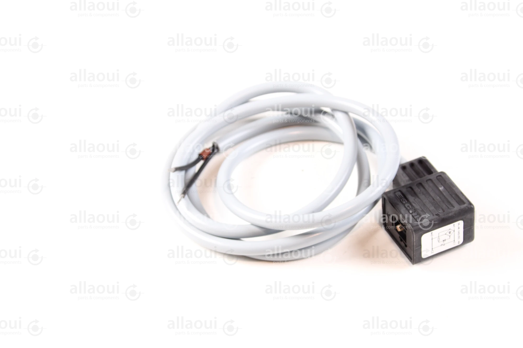 Escha 2-Pole Magnet Connector with Cable TBS20-2.048-1,2/P00