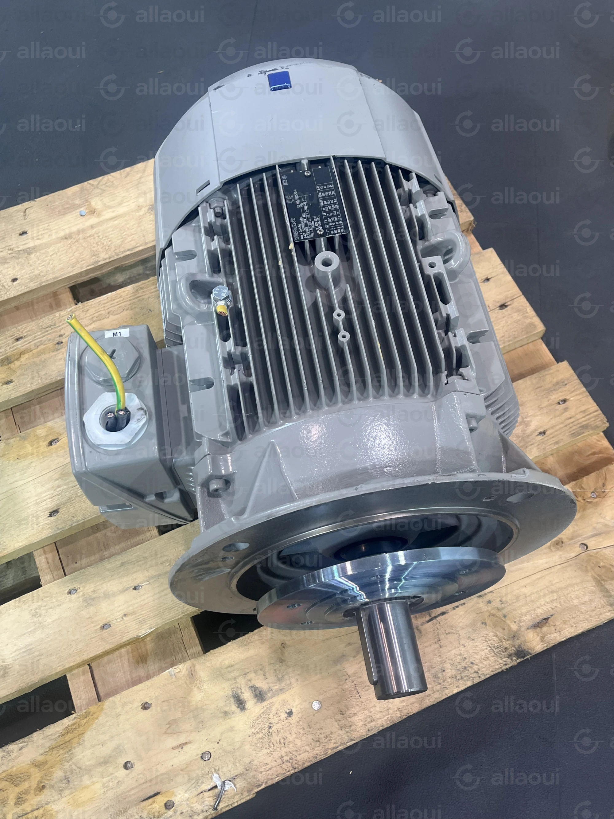 Siemens Motor 1LE10011DA234FB4
