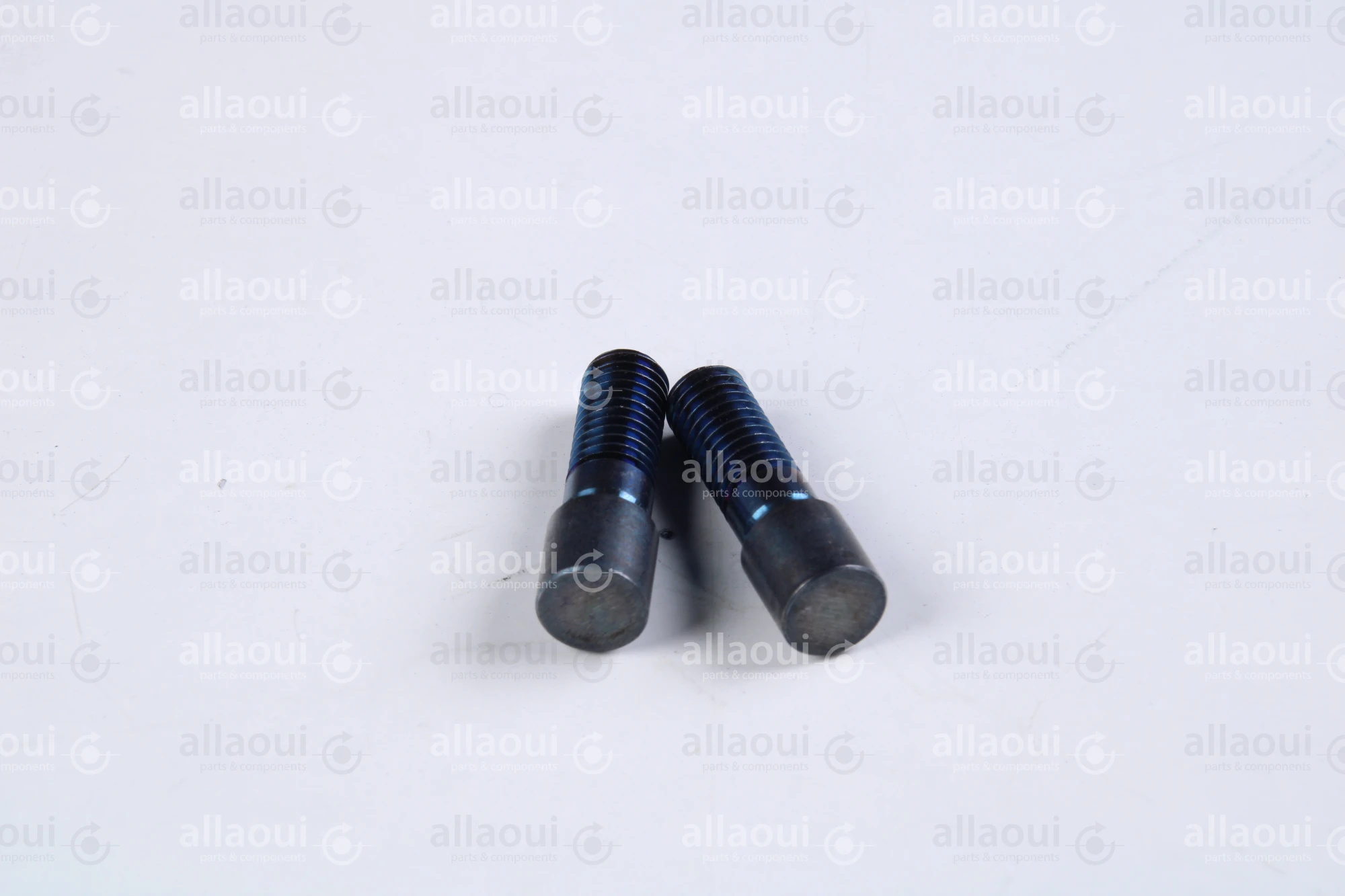 Müller Martini Bolt RD10X31 (2 Pieces) 0300.1614.4 (2 Stück)