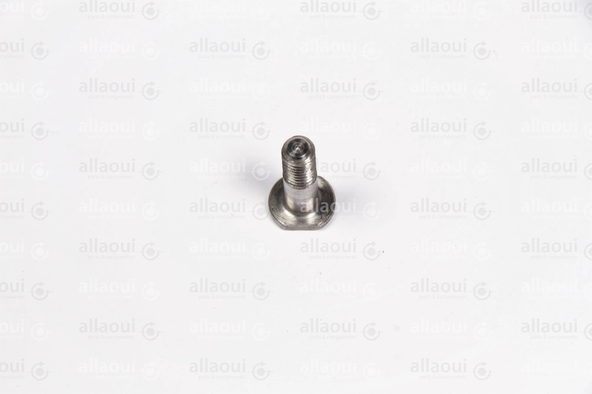 Müller Martini Screw RD12X22 (10 Pieces) 3681.2274.4