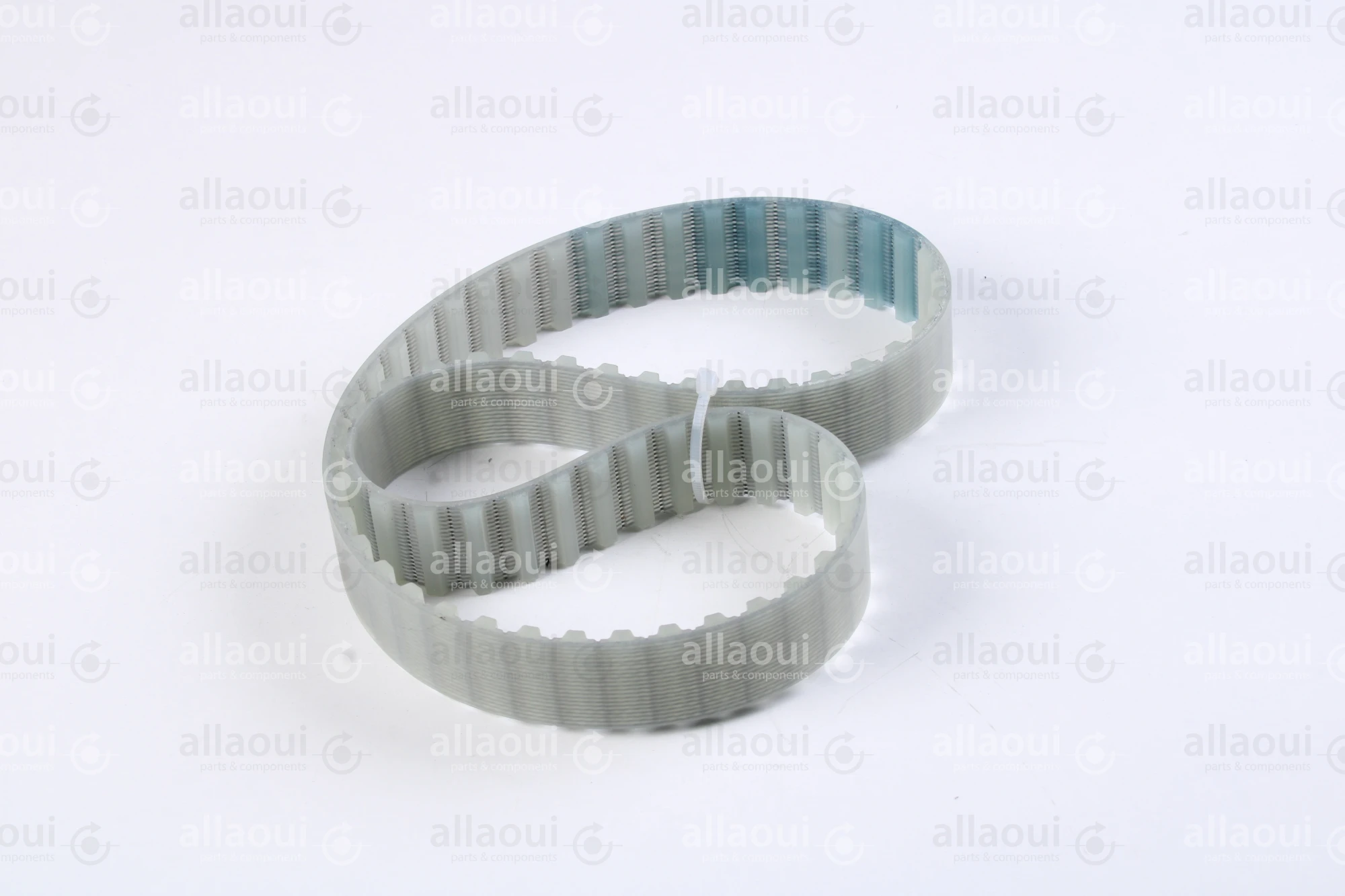 Müller Martini Timing Belt 3215.2087.4