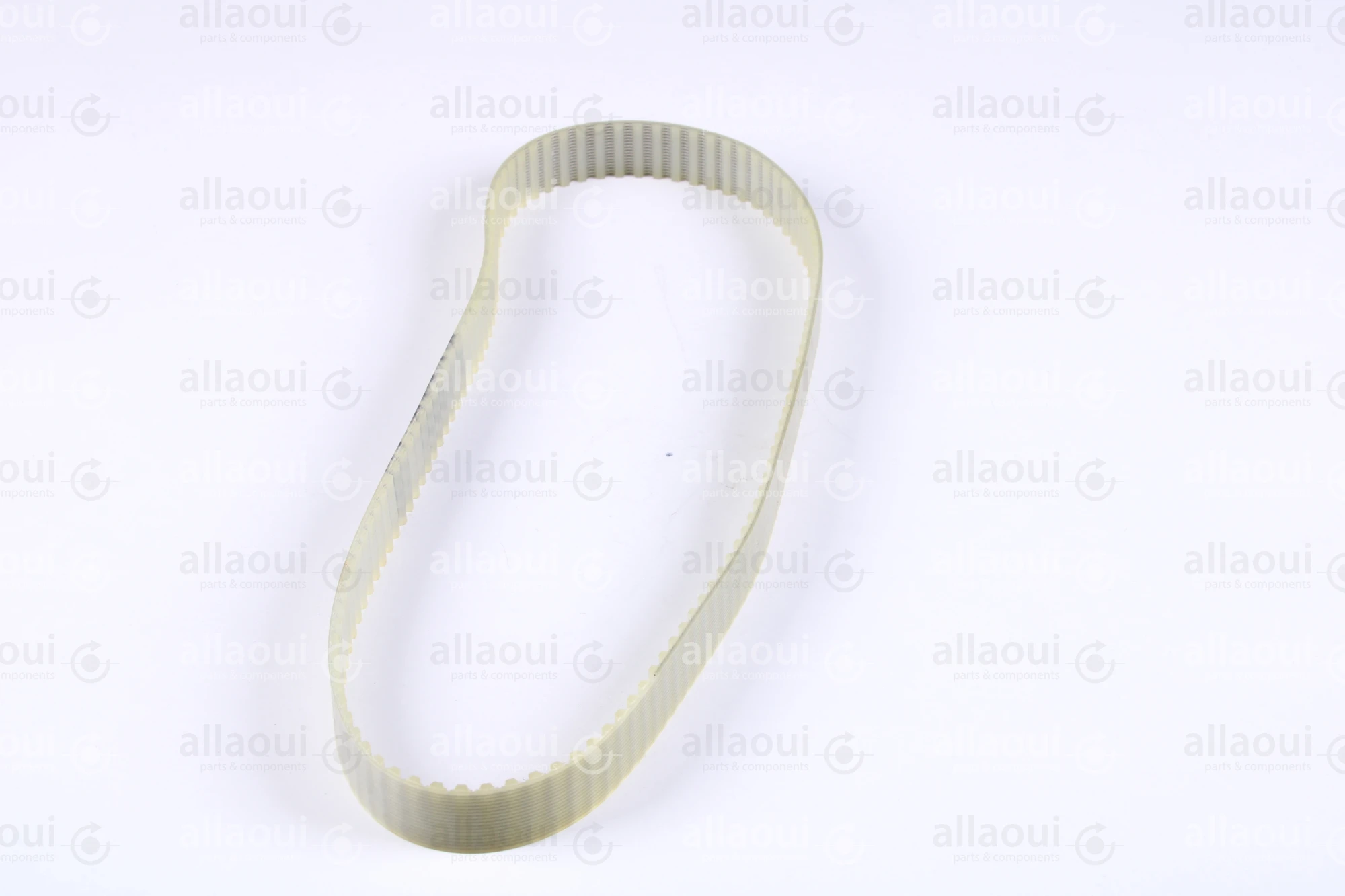 Müller Martini Toothed Belt 16T5/590 3502.1167.4