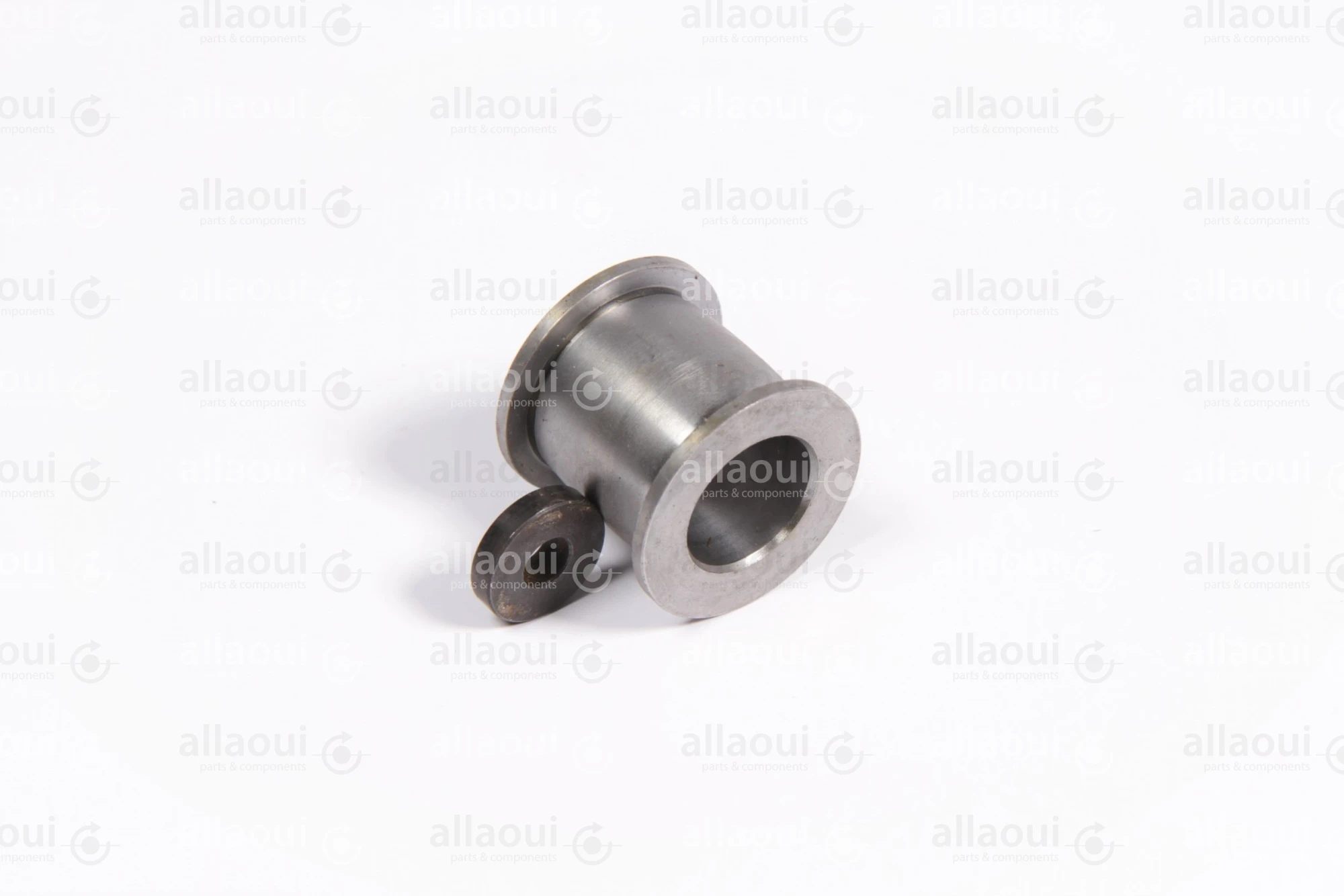 Manroland Pulley 16.31273-0006